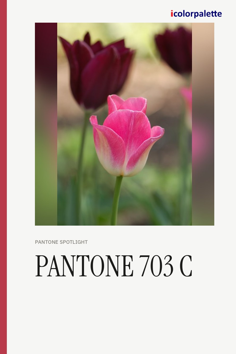 B83A4B Hex Code (Chrysanthemum Shade) — RGB, CMYK & HSL Color