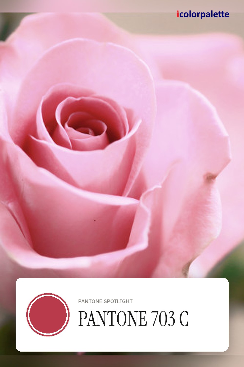B83A4B Hex Code (Chrysanthemum Shade) — RGB, CMYK & HSL Color