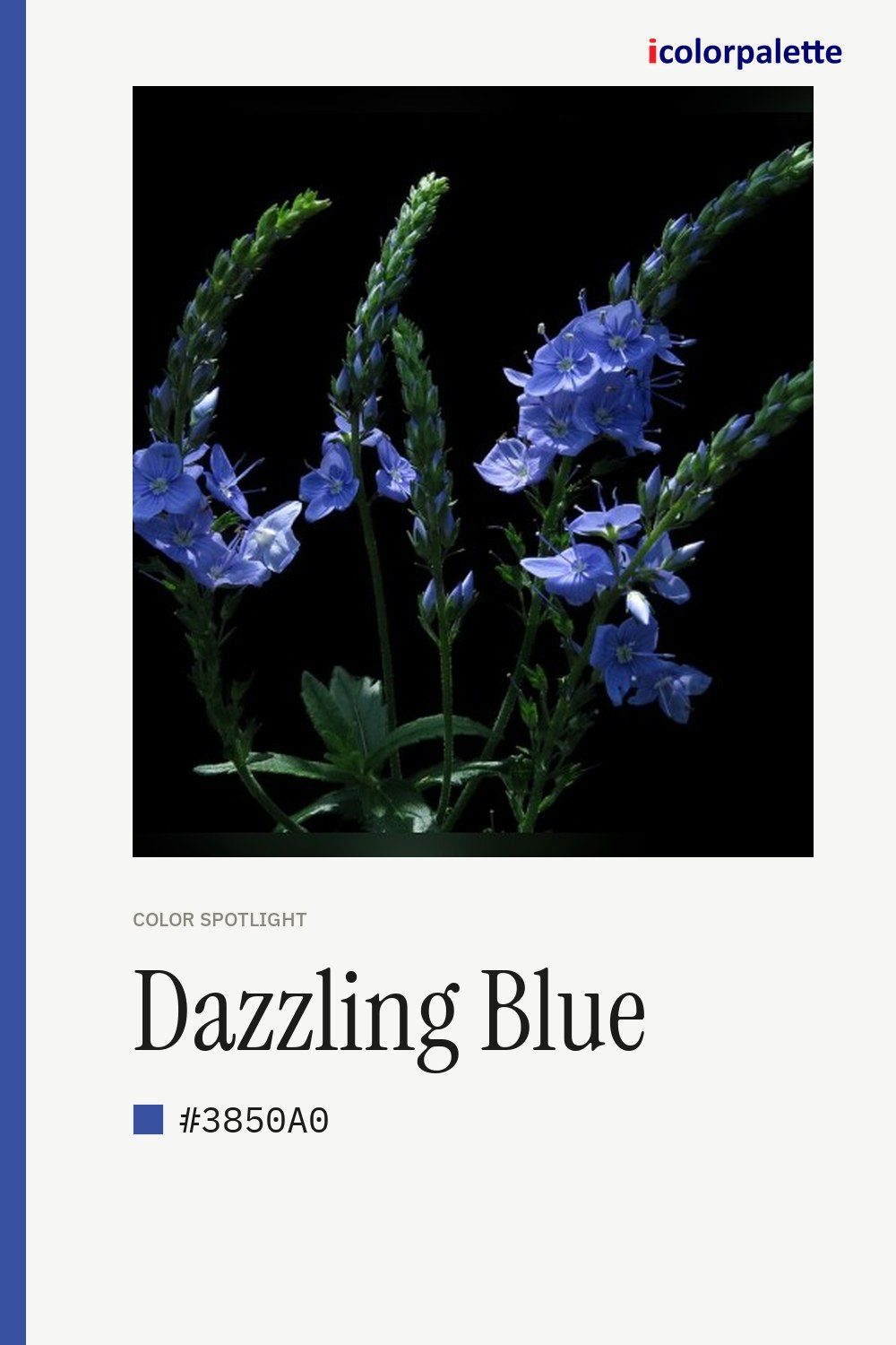 Dazzling Blue Color (#3850A0) — Hex, RGB & Palettes | iColorPalette