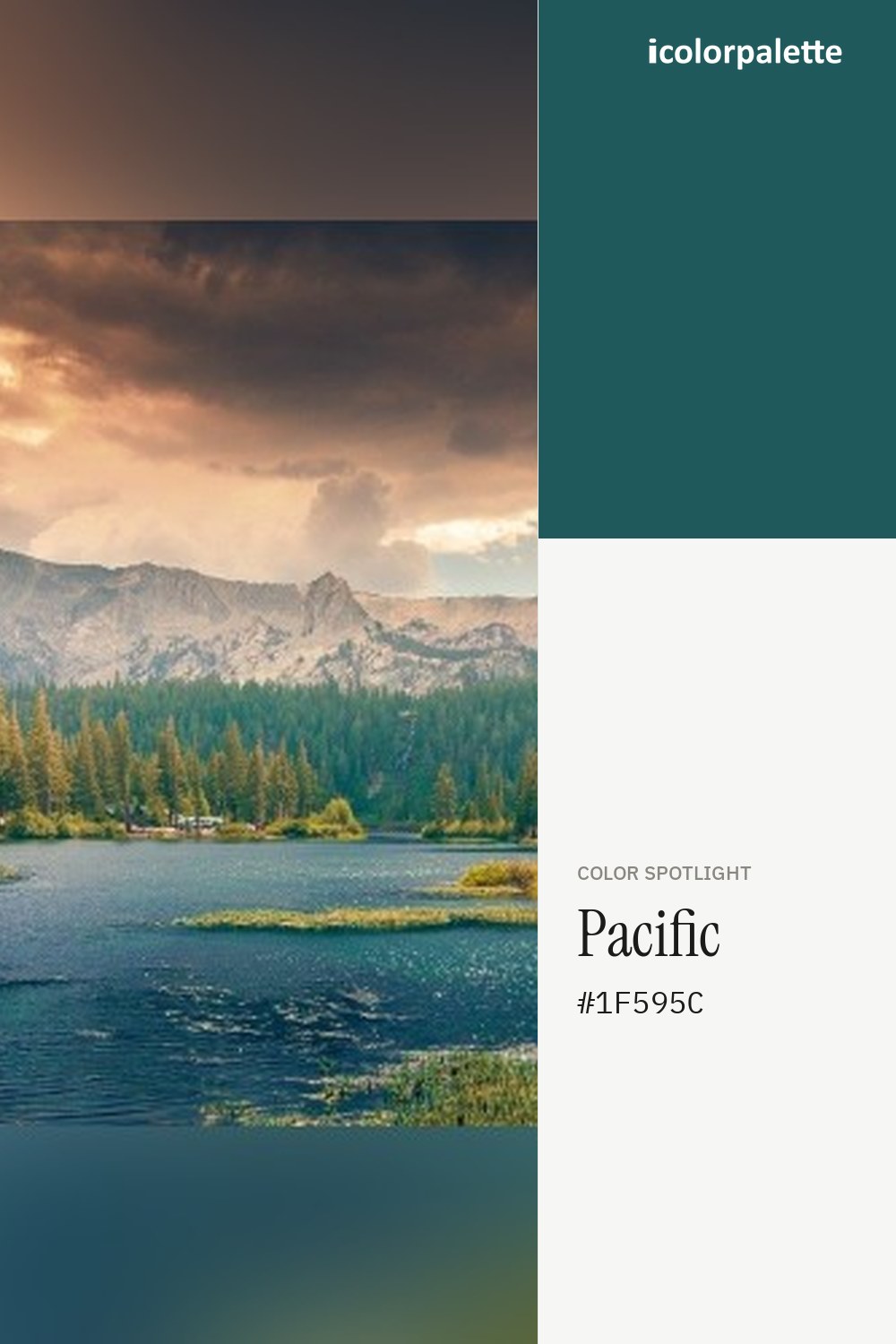 Pacific Hex Code #1F595C — RGB, CMYK & HSL Color Values