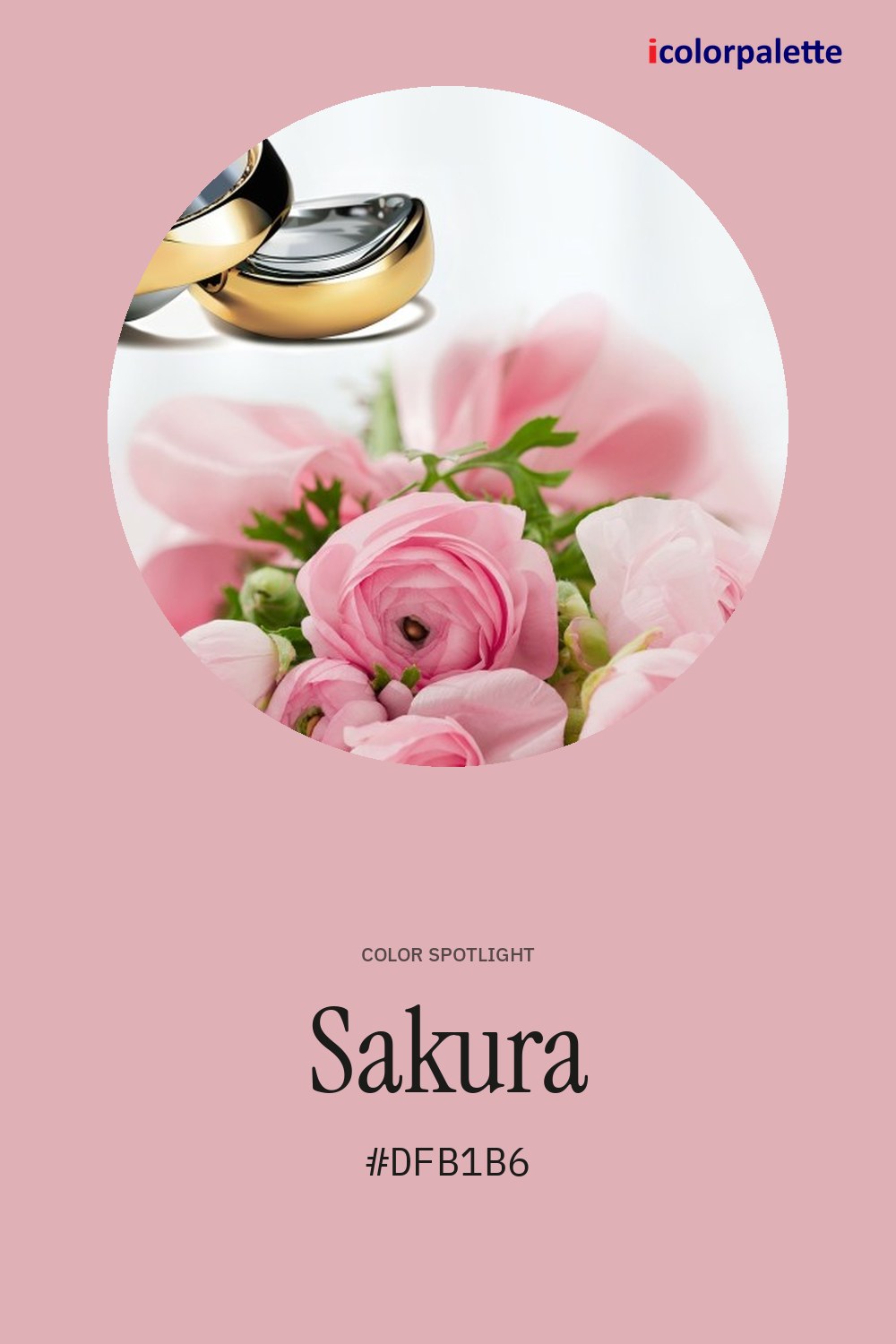 Sakura Color (#DFB1B6) — Hex, RGB & Palettes | iColorPalette