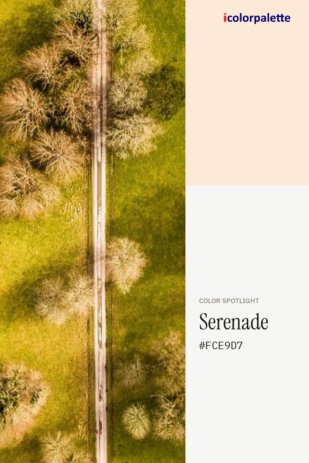 Serenade Color (#FCE9D7) — Hex, RGB & Palettes | iColorPalette