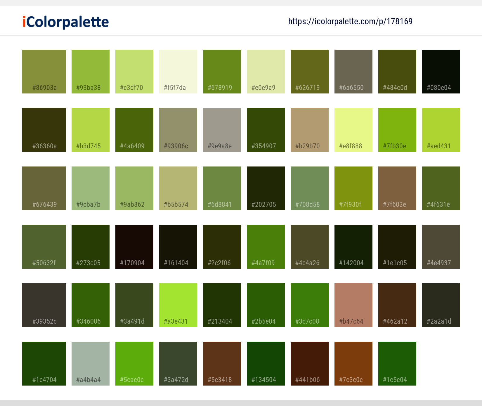 Color Palette Ideas from Vegetation Forest Ecosystem Image | iColorpalette