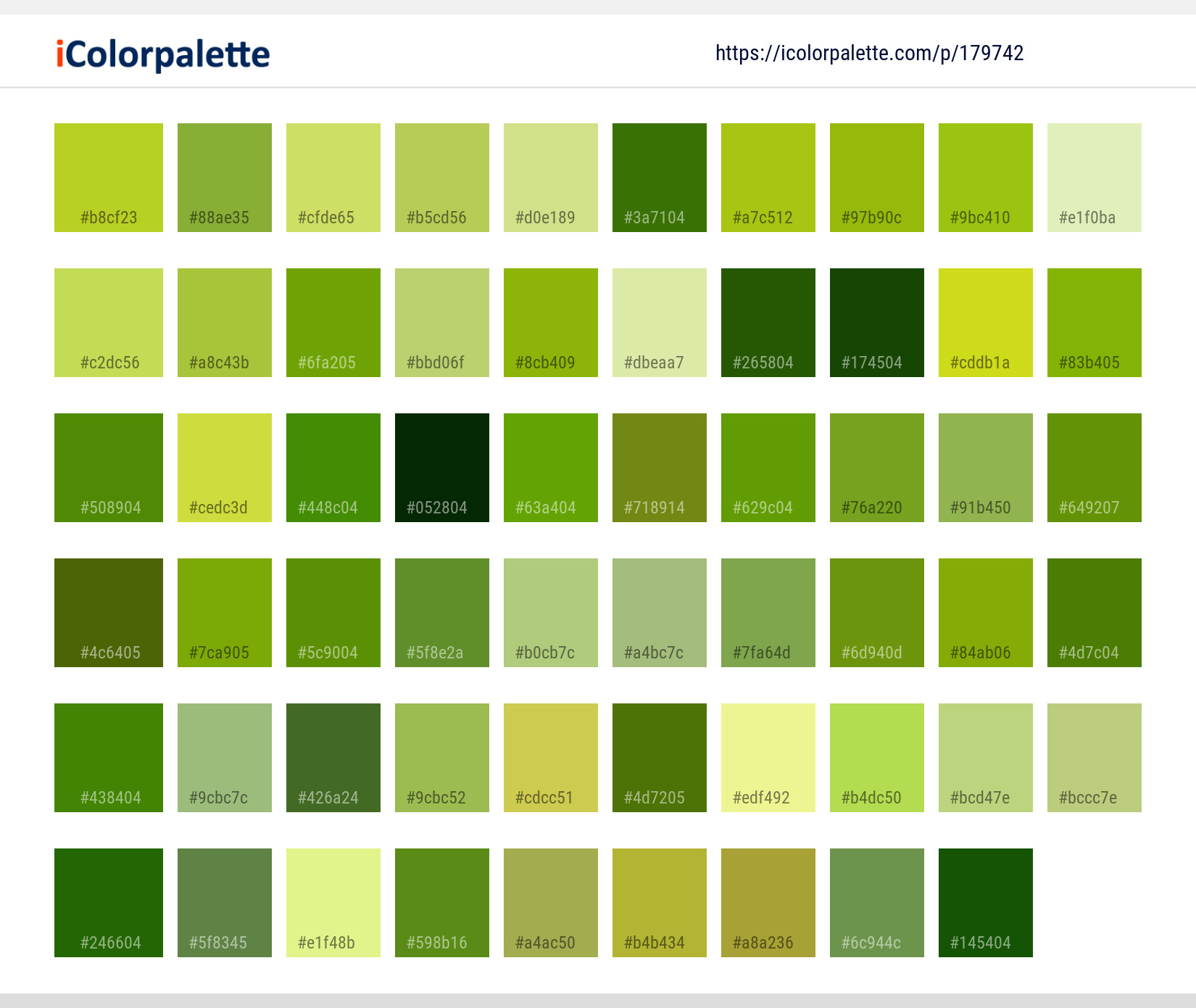 Color Palette Ideas from Leaf Vegetable Lettuce Image | iColorpalette