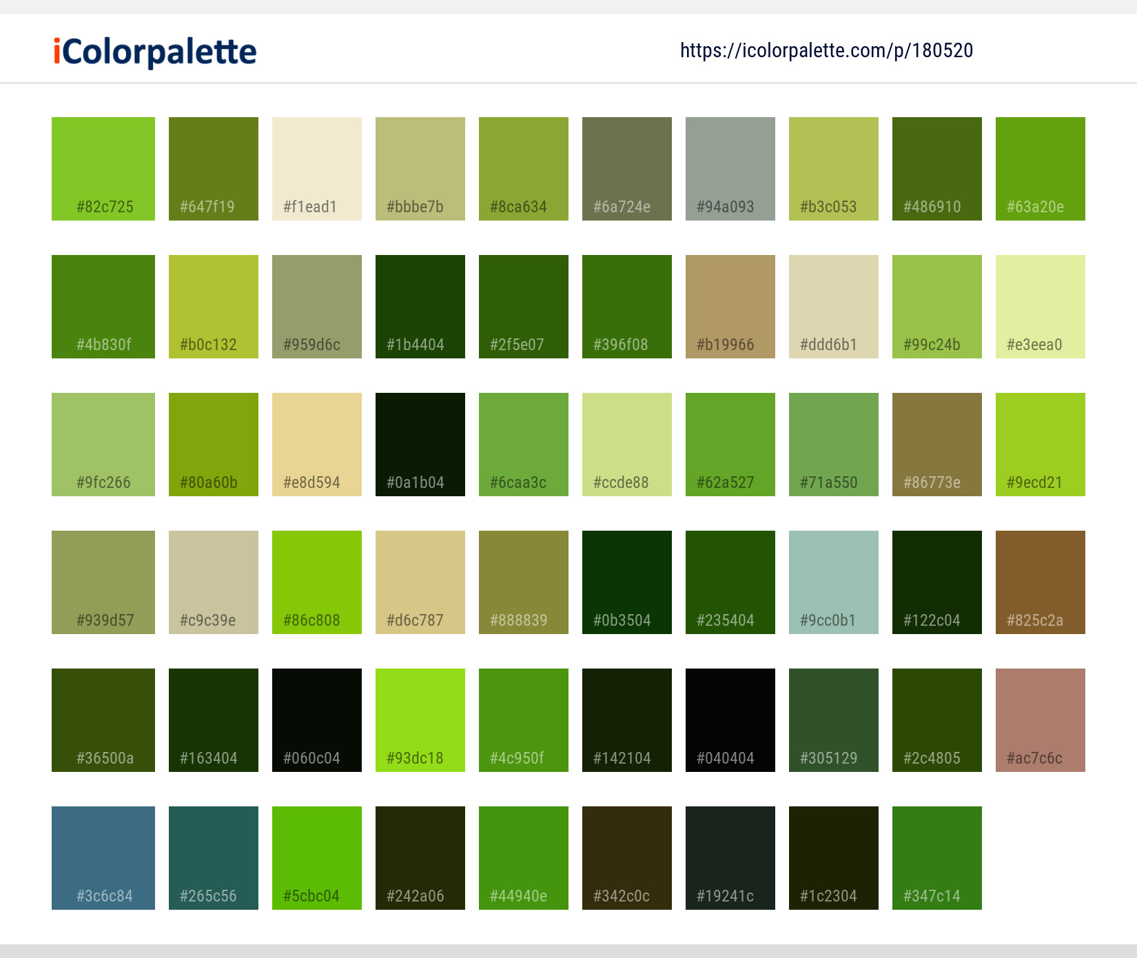 Color Palette Ideas from Plant Flora Flower Image | iColorpalette