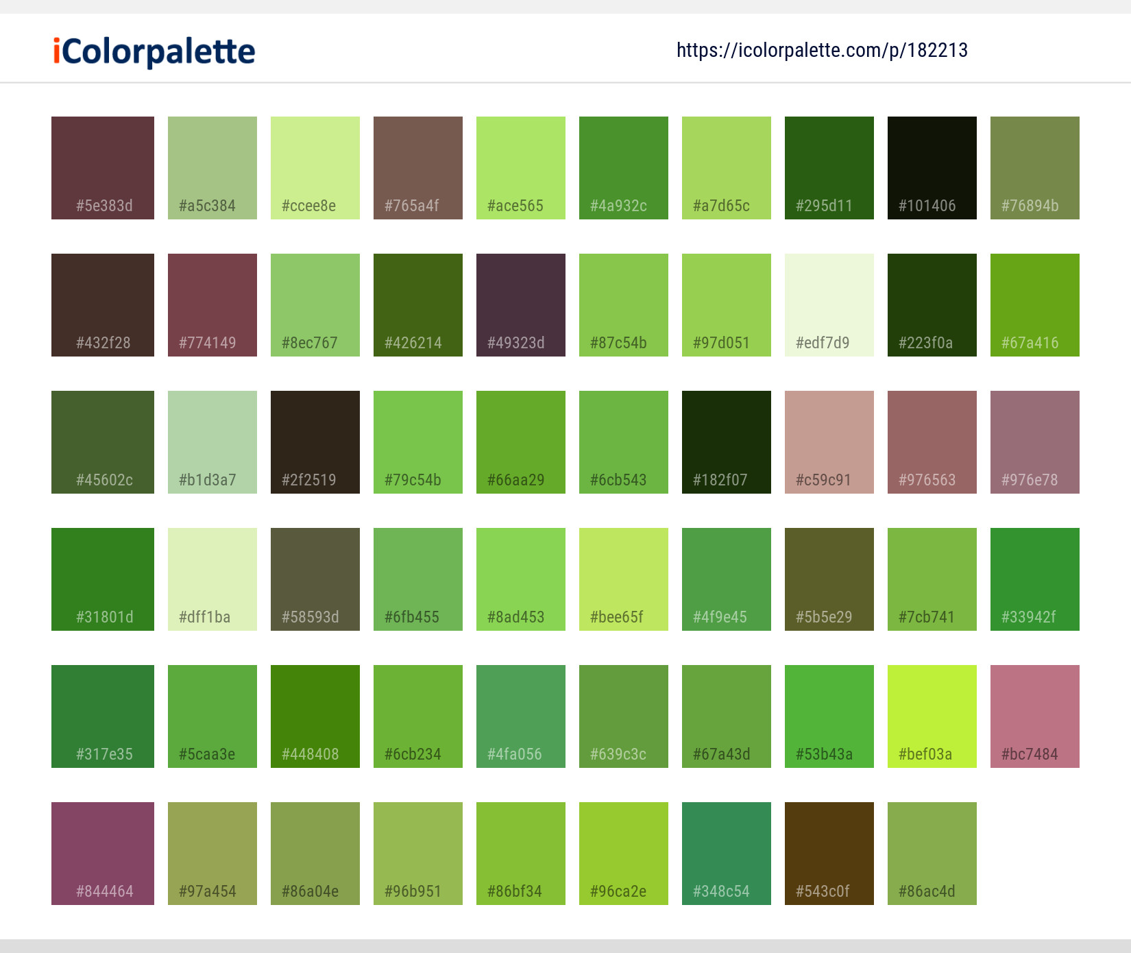 Color Palette Ideas from Plant Leaf Flora Image | iColorpalette