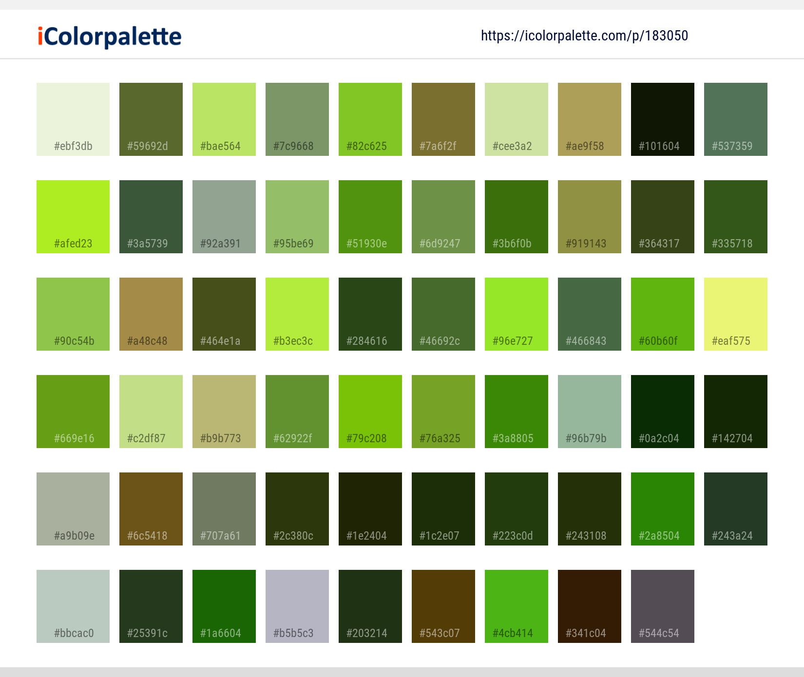 Color Palette Ideas from Bamboo Vegetation Ecosystem Image | iColorpalette