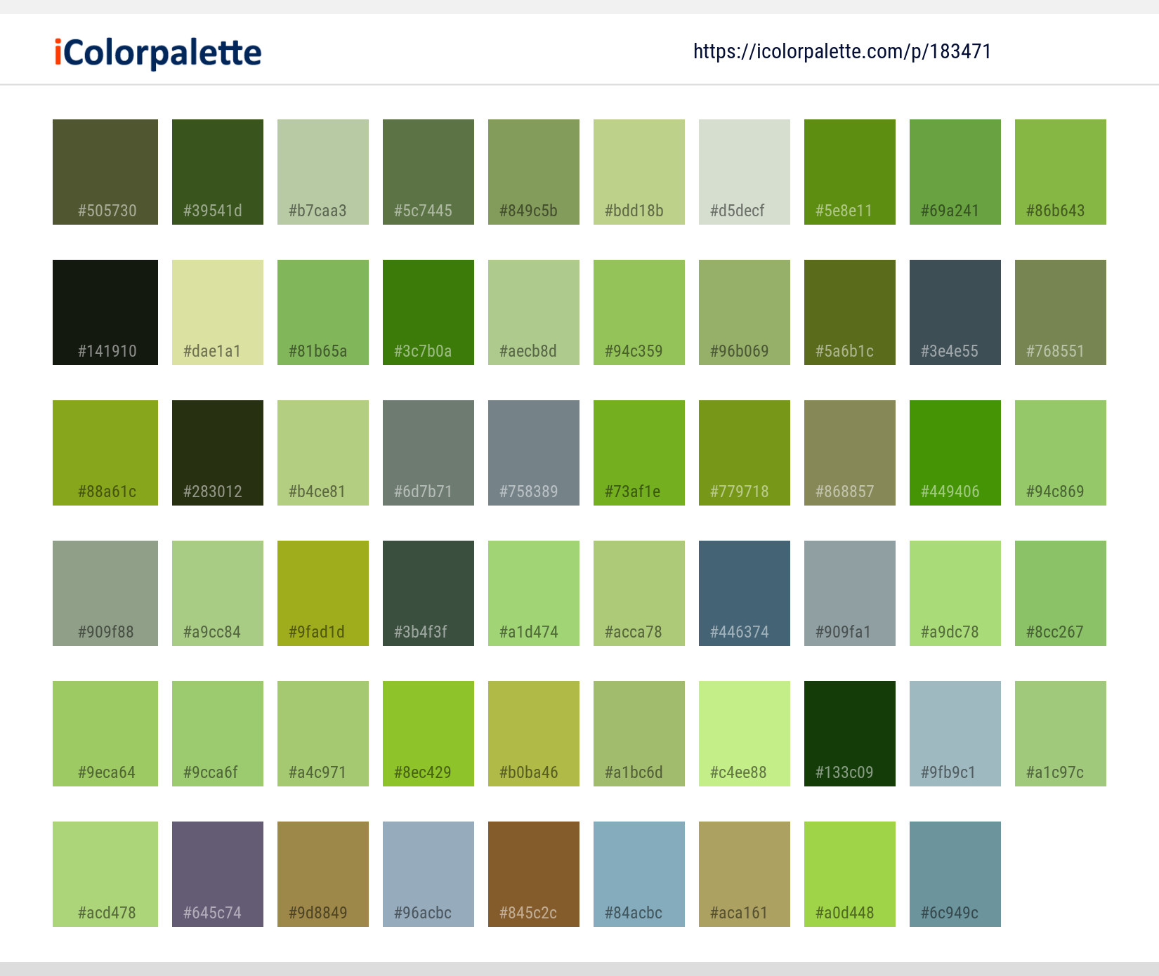 Color Palette Ideas from Bird Fauna Ecosystem Image | iColorpalette