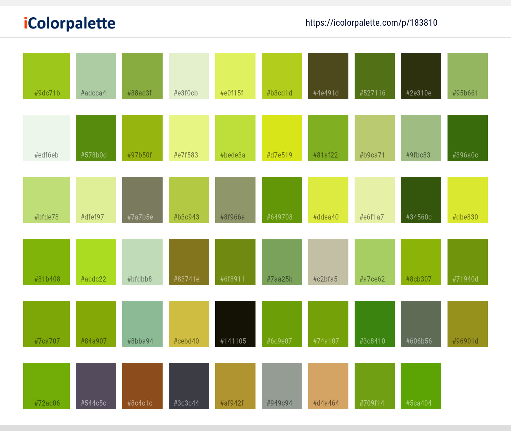 Color Palette Ideas from Insect Fauna Invertebrate Image | iColorpalette