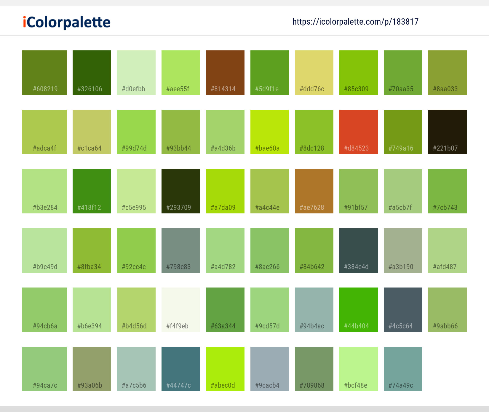 Color Palette Ideas from Damselfly Insect Dragonfly Image | iColorpalette