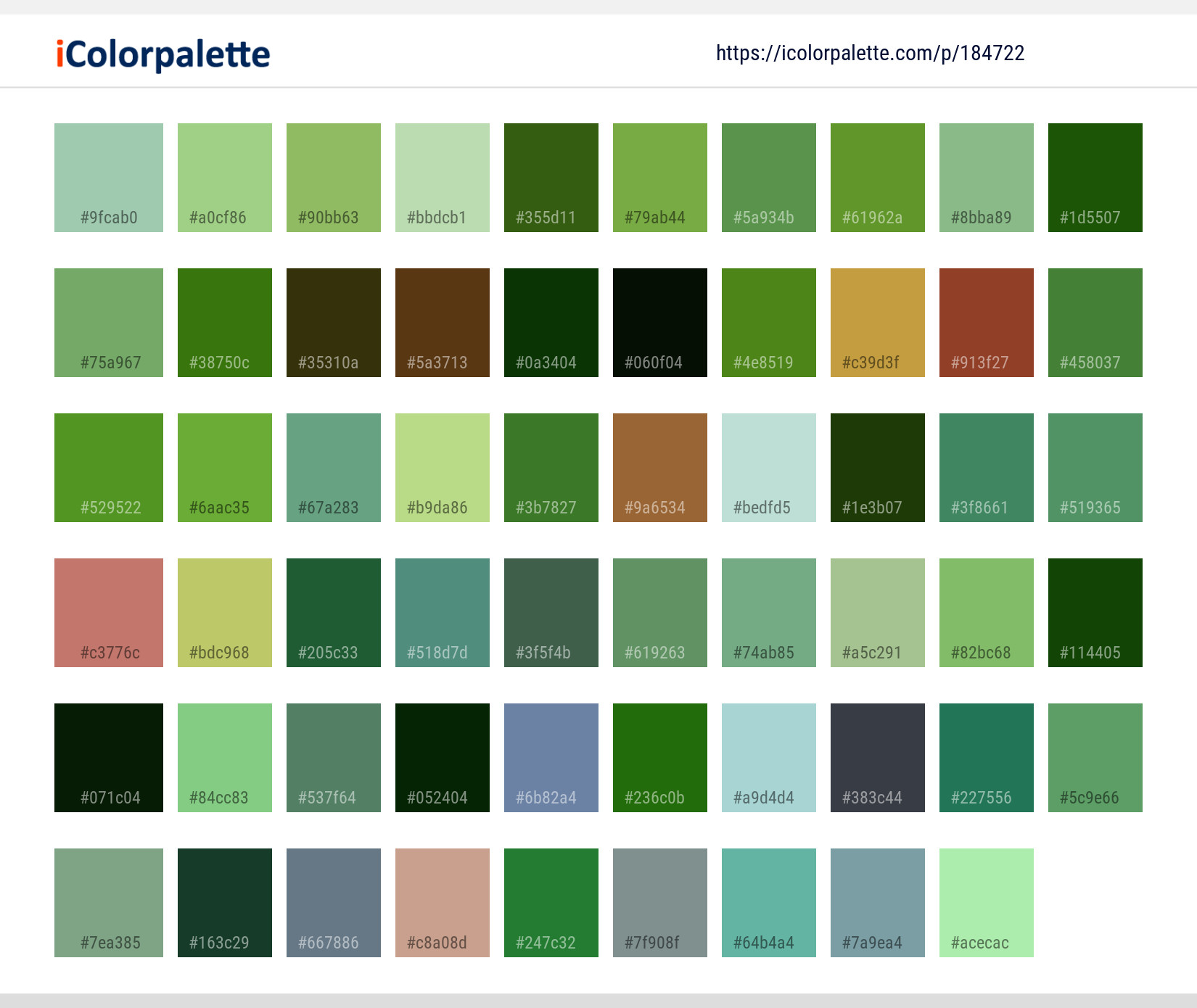 Color Palette Ideas from Water Plant Flora Image | iColorpalette