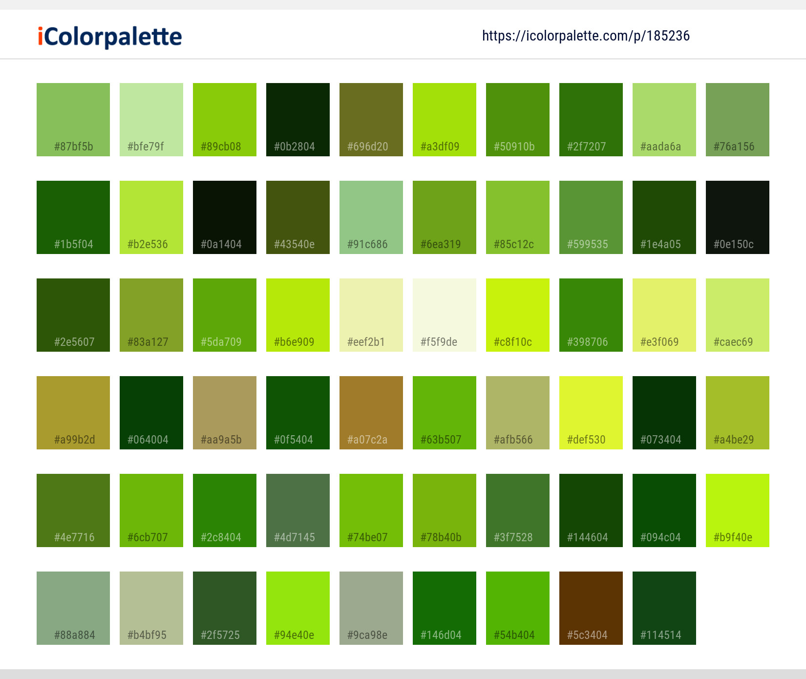 Color Palette Ideas from Grass Green Vegetation Image | iColorpalette