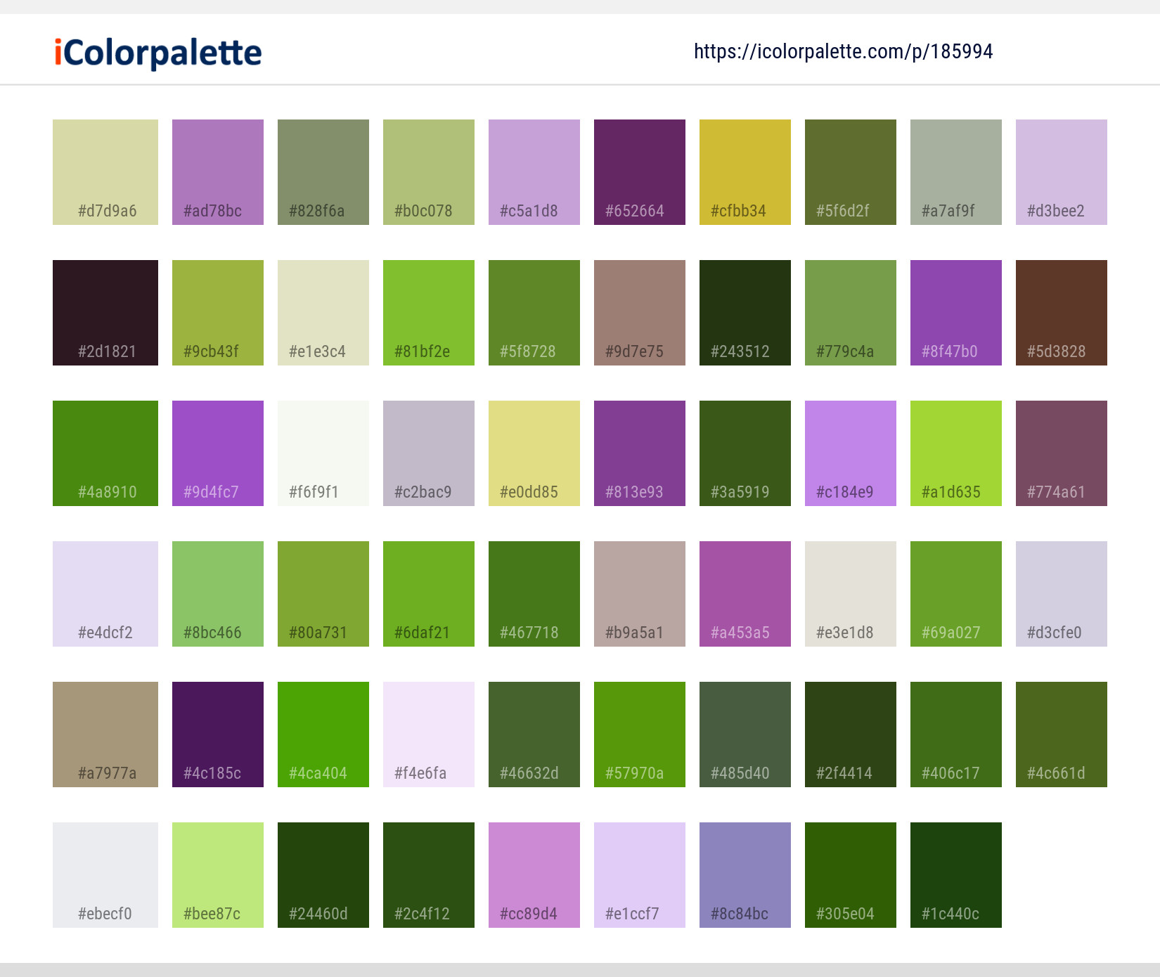 Color Palette Ideas from Flower Flowering Plant Image | iColorpalette