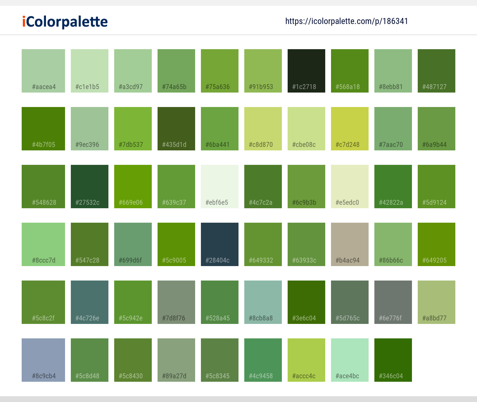 Color Palette Ideas from Caterpillar Insect Larva Image | iColorpalette