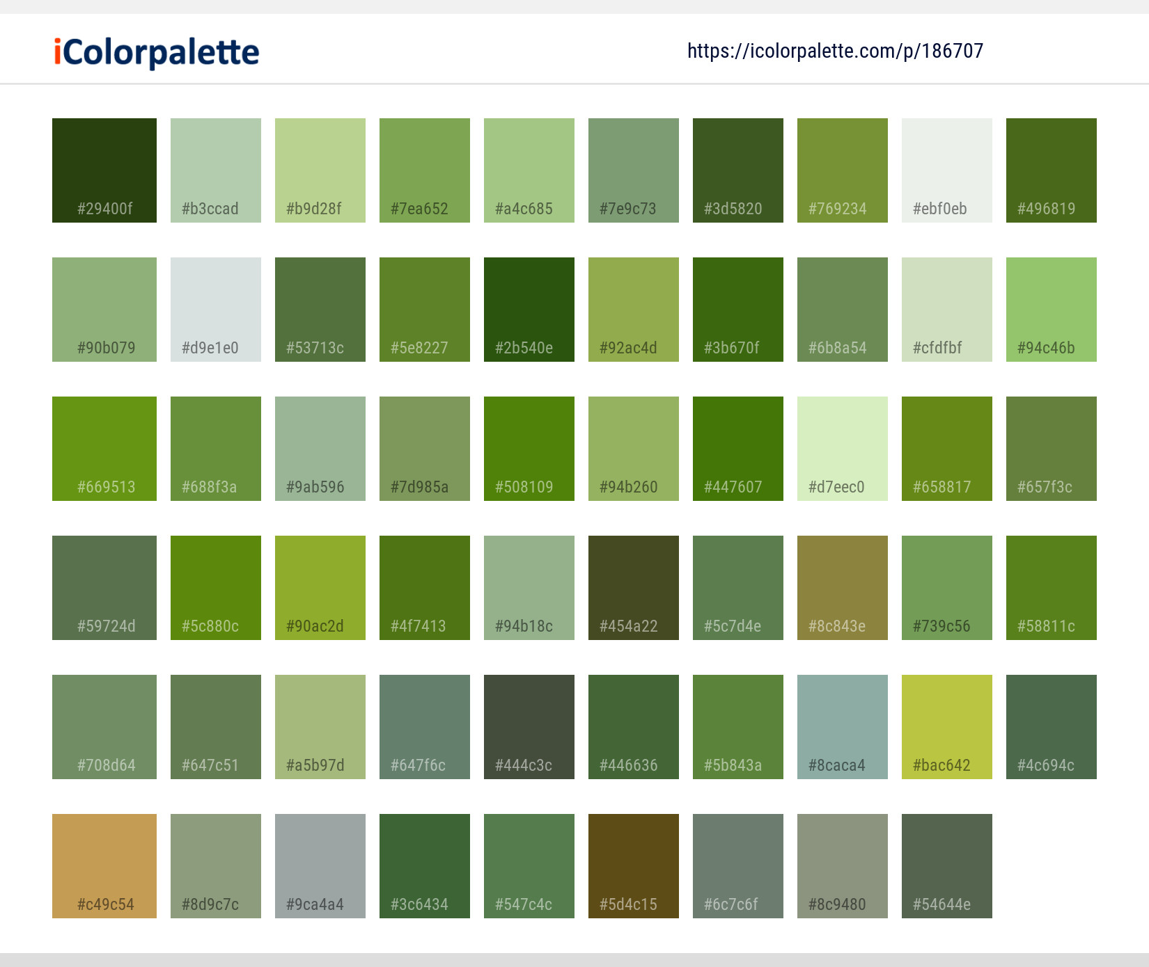 Color Palette Ideas from Citrus Plant Fruit Image | iColorpalette