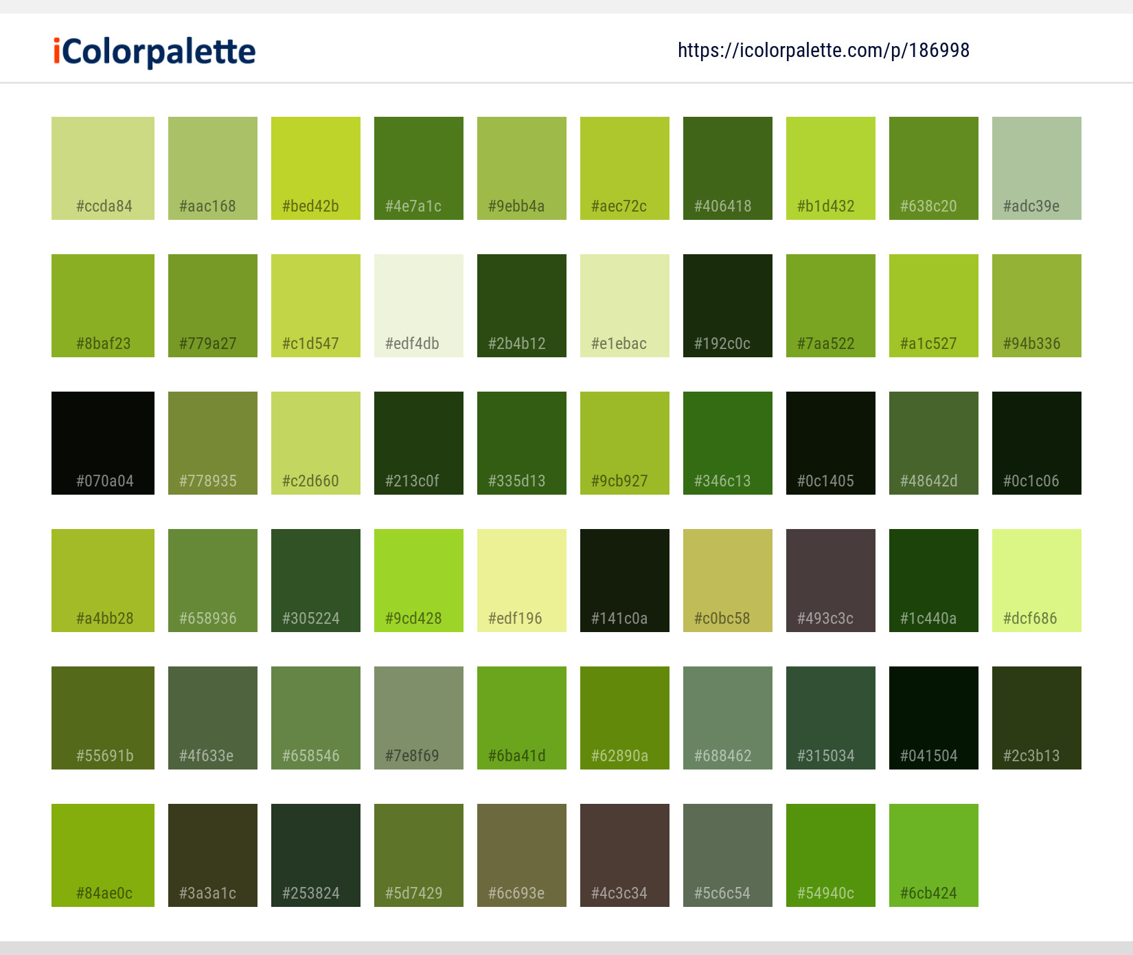 Color Palette Ideas from Green Plant Grass Image | iColorpalette