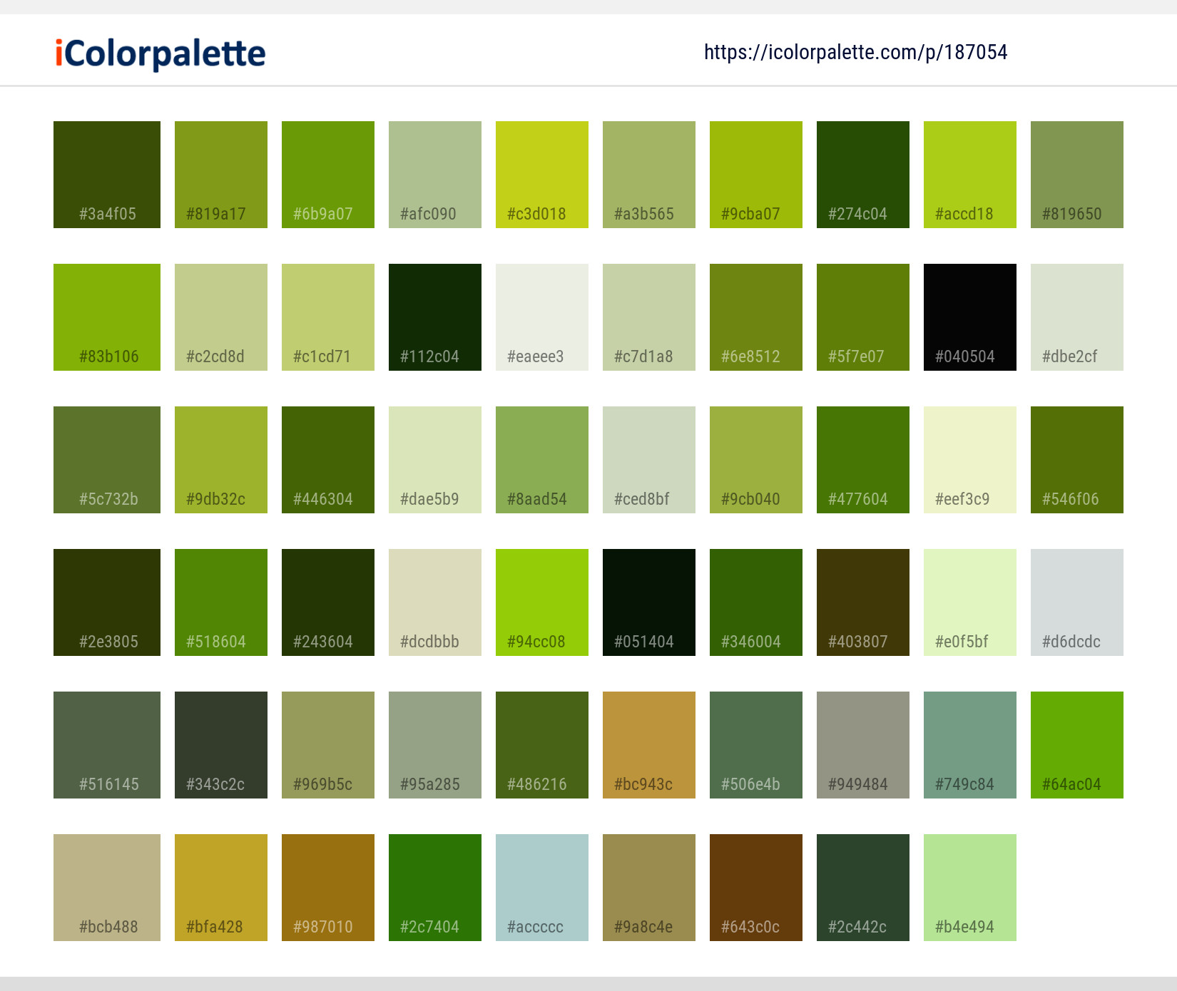 Color Palette Ideas from Plant Leaf Parsley Family Image | iColorpalette