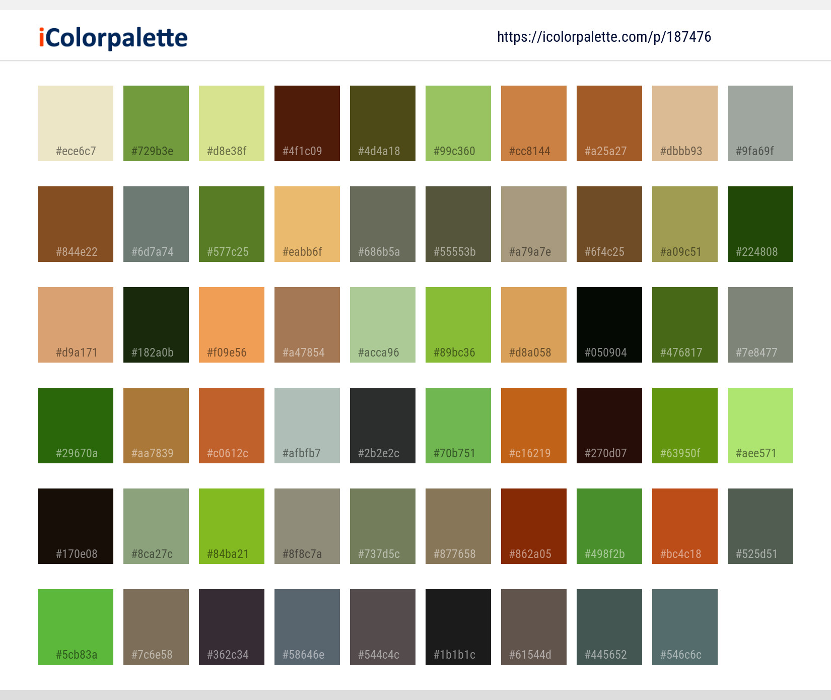 Color Palette Ideas from Brown Bear Grizzly Image | iColorpalette