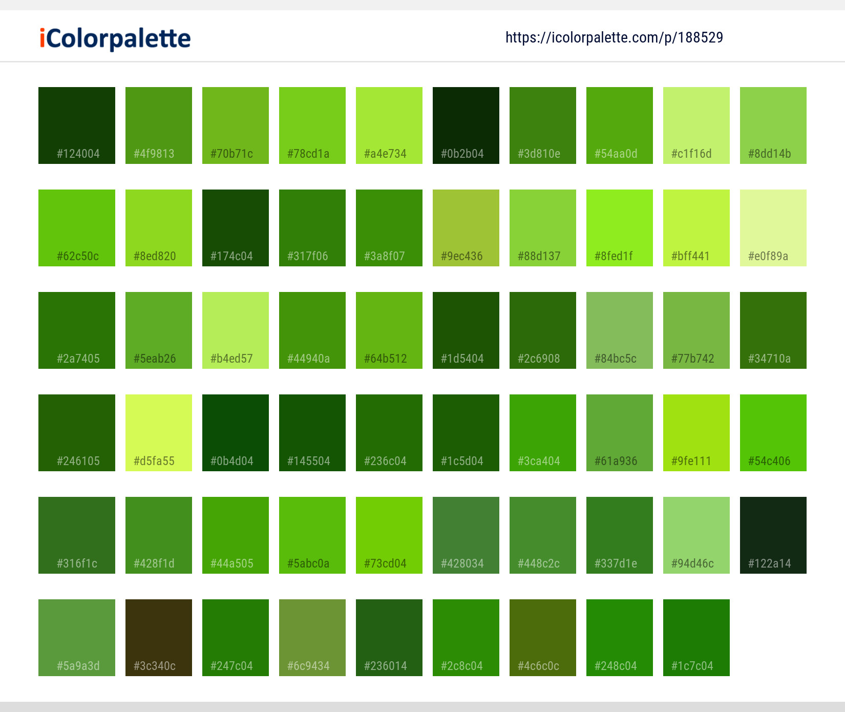 Color Palette Ideas from Leaf Vegetable Lettuce Image | iColorpalette