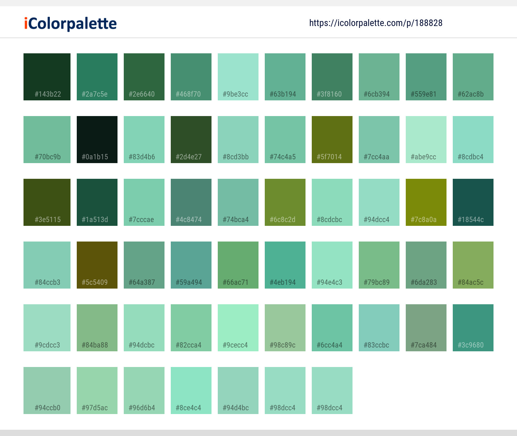 Color Palette Ideas from Green Water Nature Image | iColorpalette