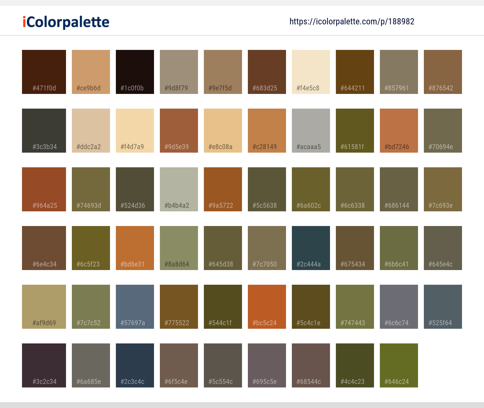 Color Palette Ideas from Brown Bear Grizzly Mammal Image | iColorpalette