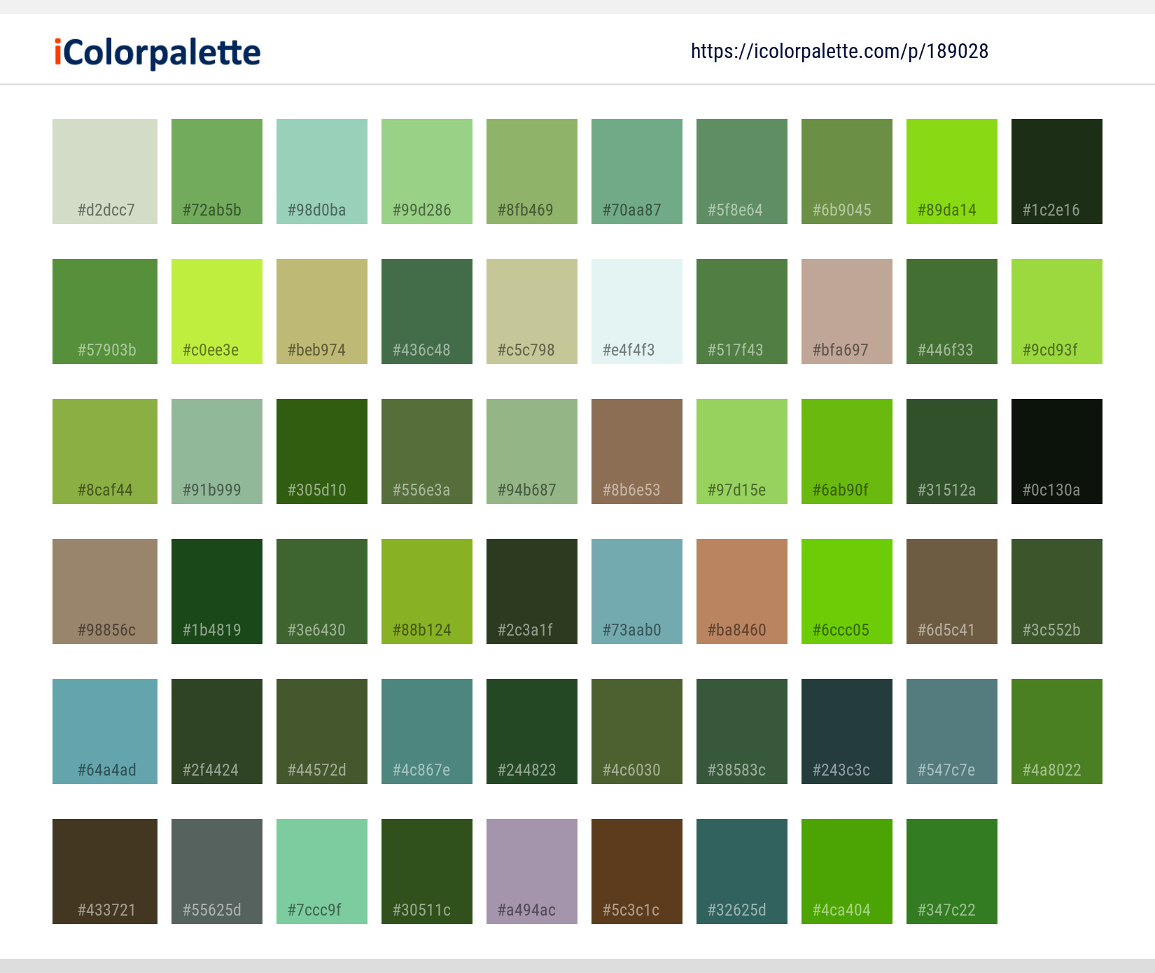 Color Palette Ideas from Fauna Chameleon Reptile Image | iColorpalette