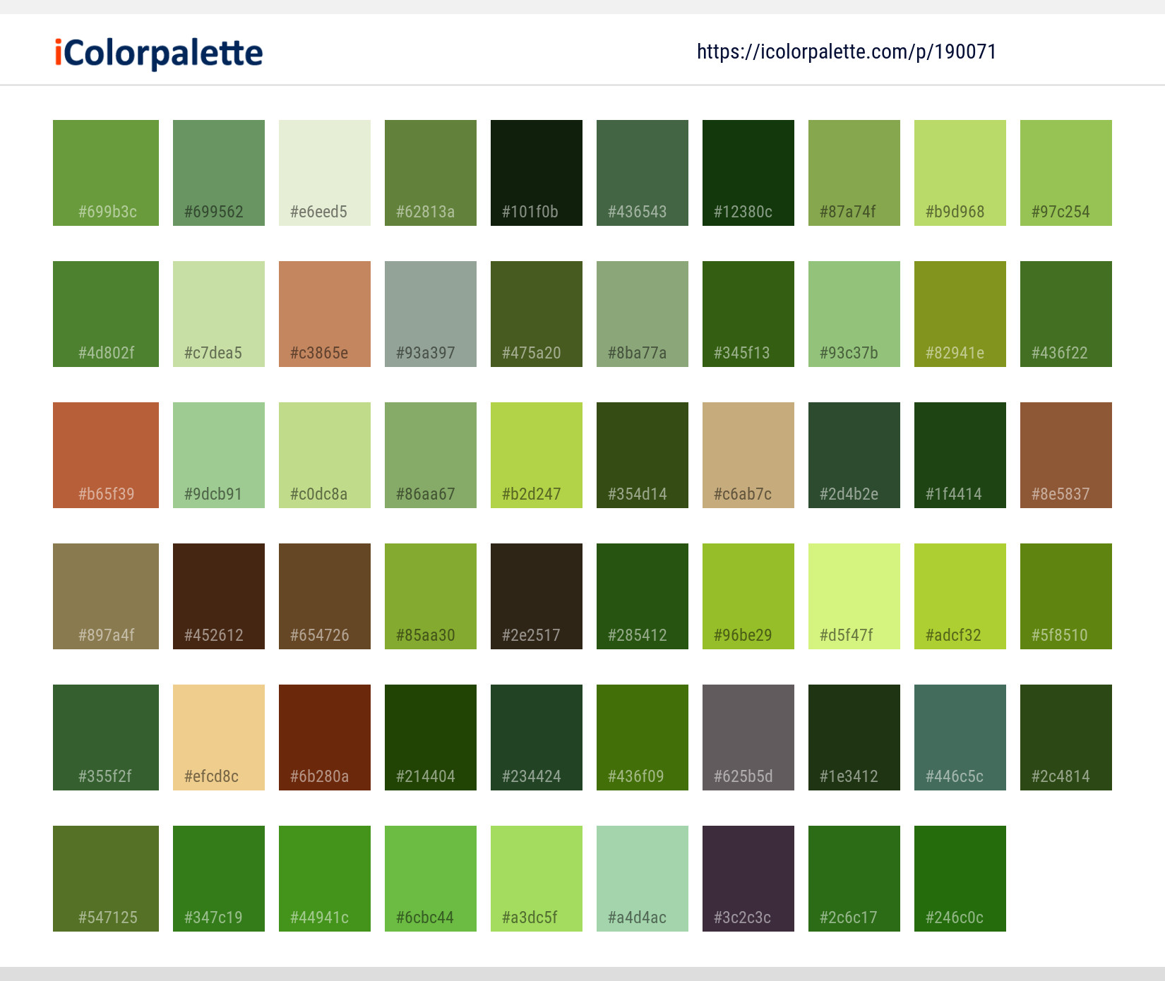 Color Palette Ideas from Gooseberry Plant Fruit Image | iColorpalette