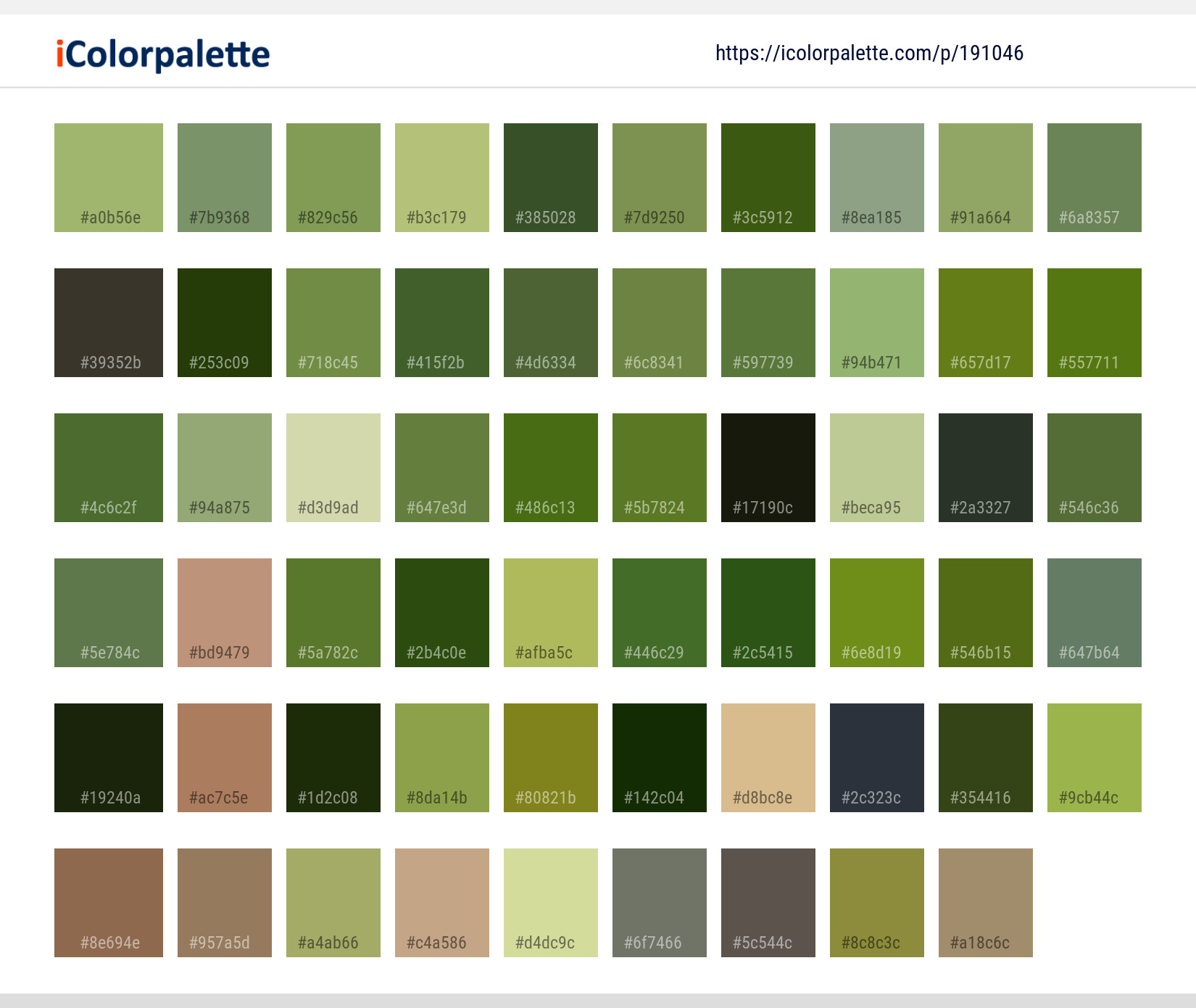 Color Palette Ideas from Plant Grass Leaf Image | iColorpalette