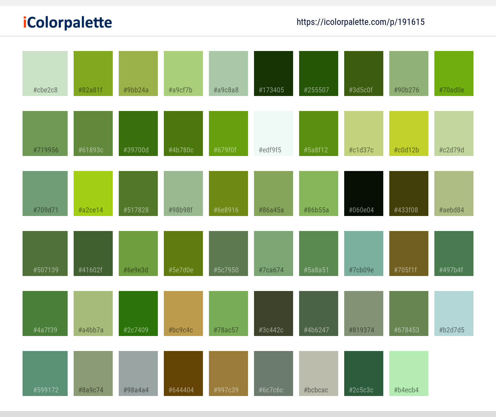 Color Palette Ideas from Water Dew Moisture Image | iColorpalette