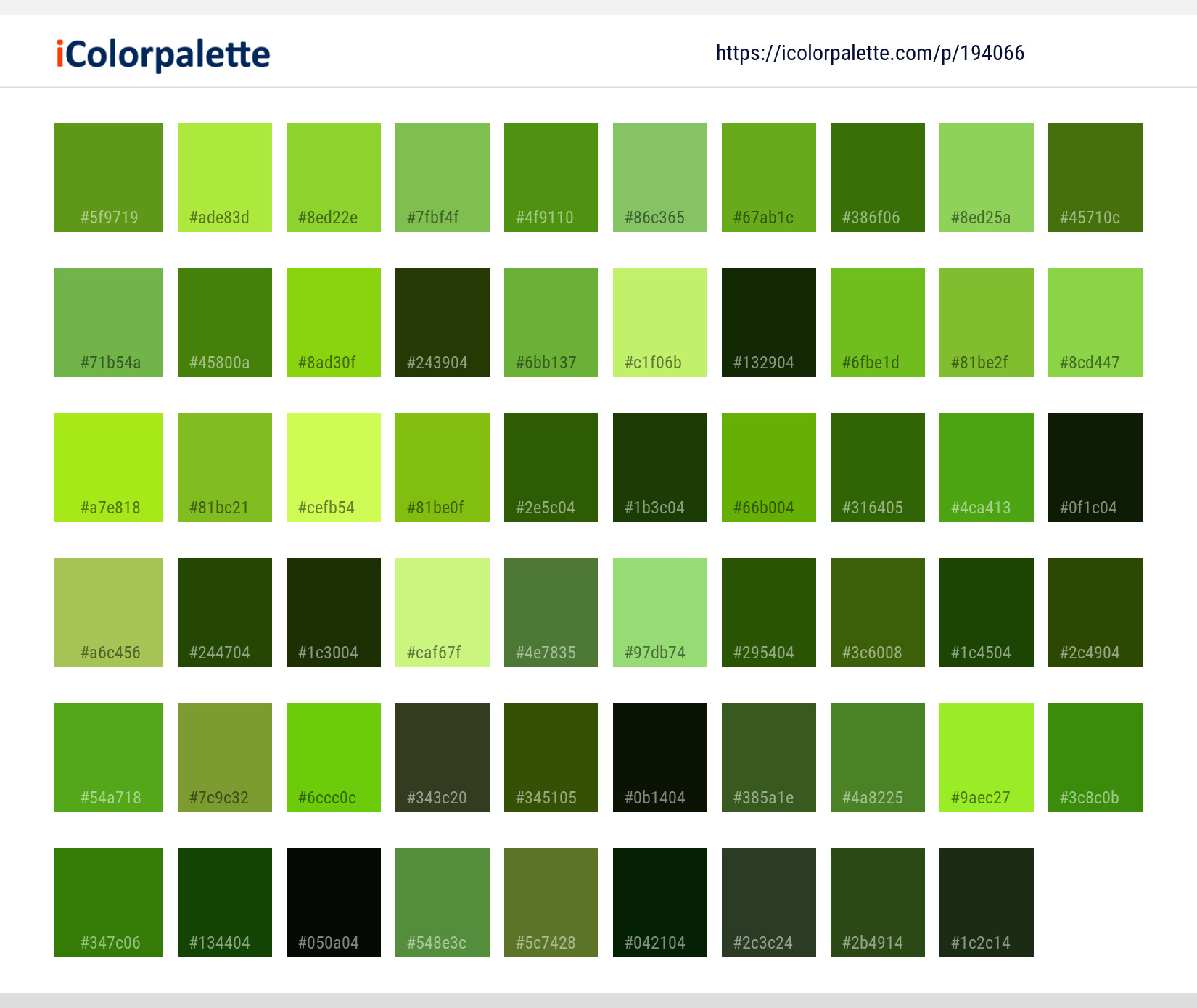 Color Palette Ideas from Green Grass Family Image | iColorpalette