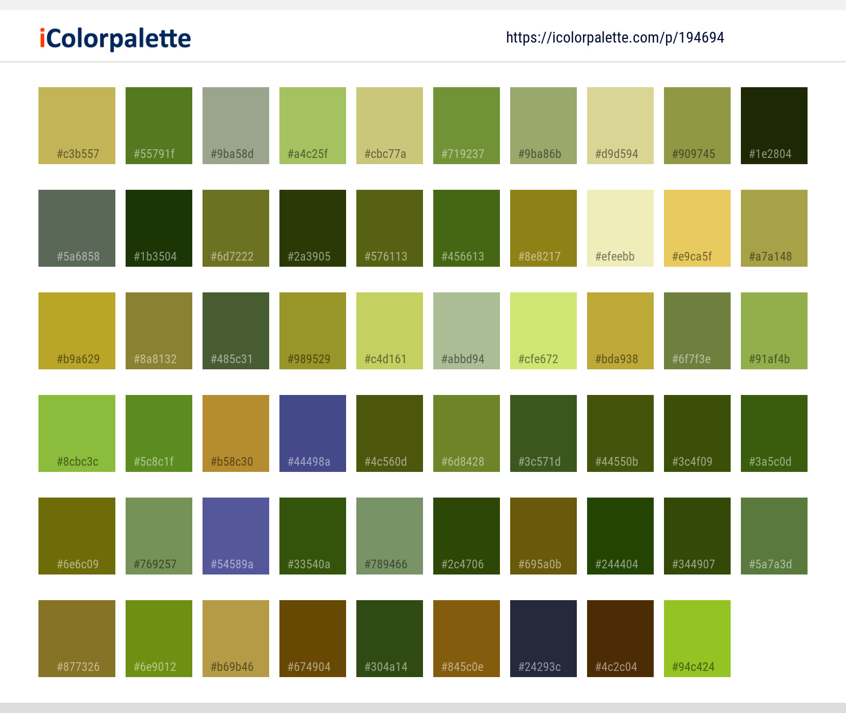 Color Palette Ideas from Food Grain Grass Family Hordeum Image ...