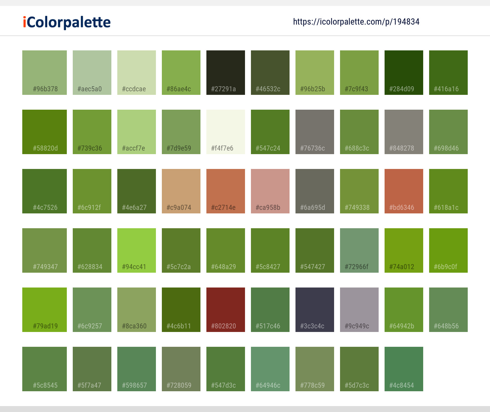 Color Palette Ideas from Bird Fauna Beak Image | iColorpalette