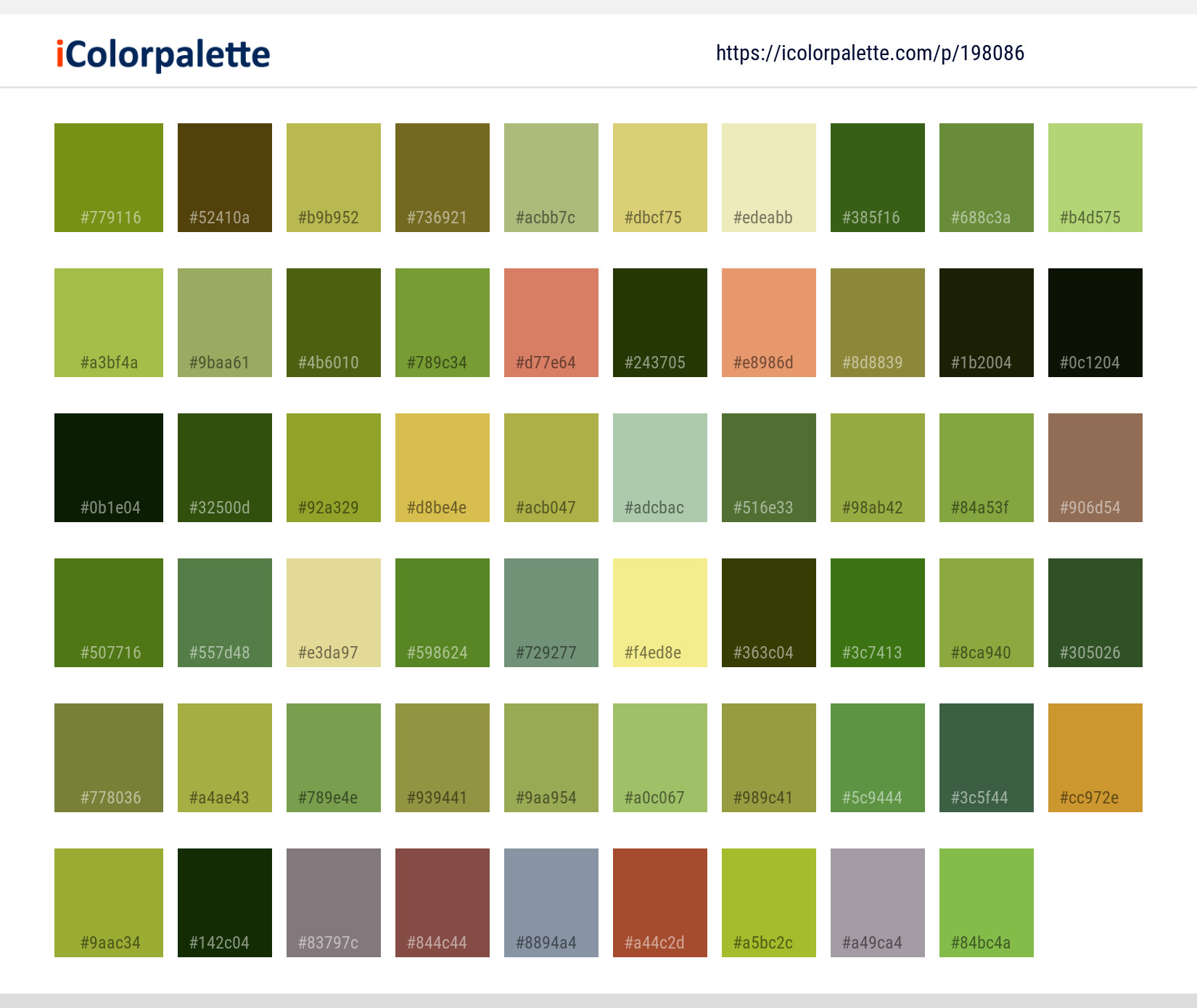 Color Palette Ideas from Flora Leaf Plant Image | iColorpalette