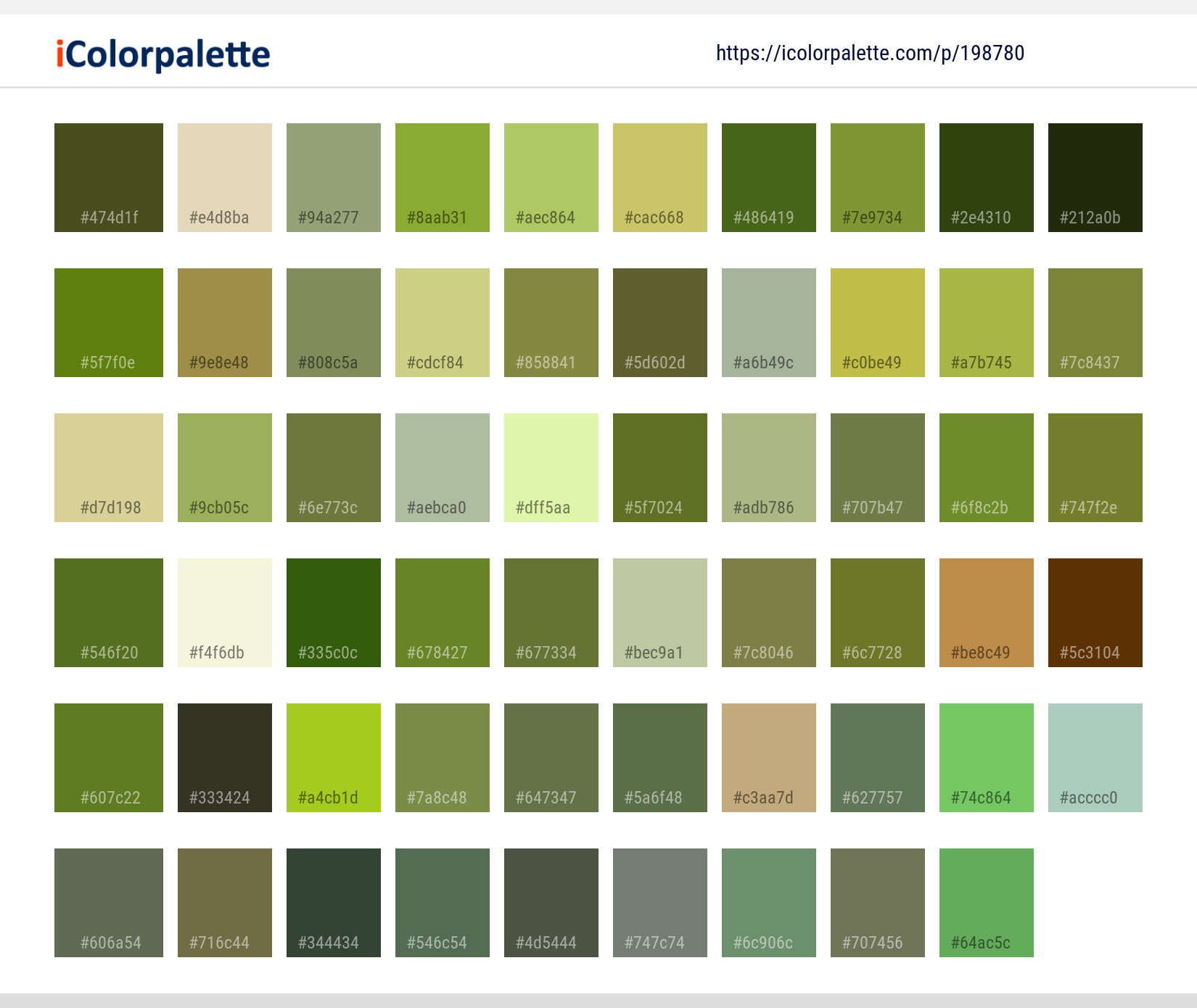 Color Palette Ideas from Reptile Fauna Lizard Image | iColorpalette