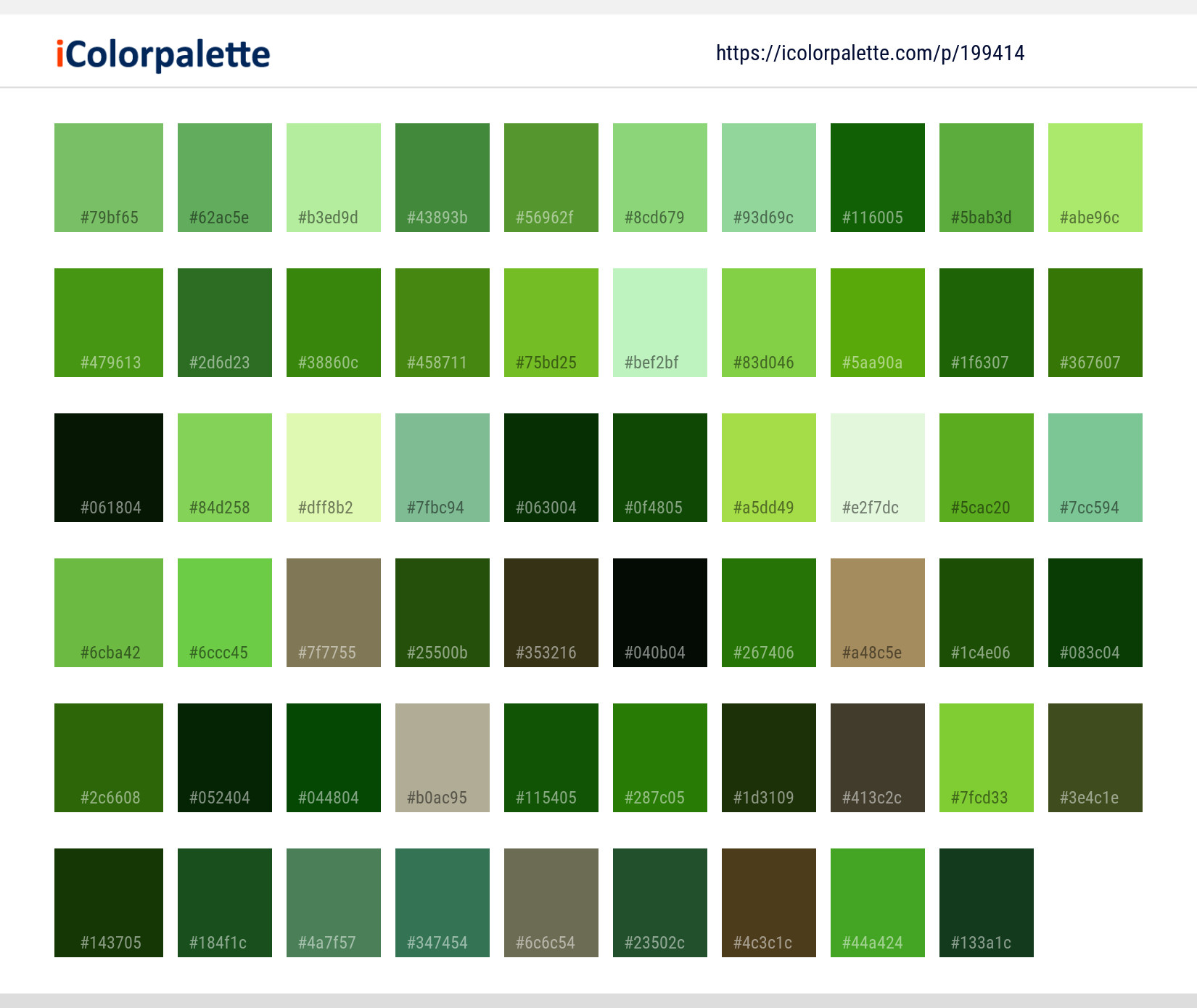 Color Palette Ideas from Plant Herb Leaf Image | iColorpalette