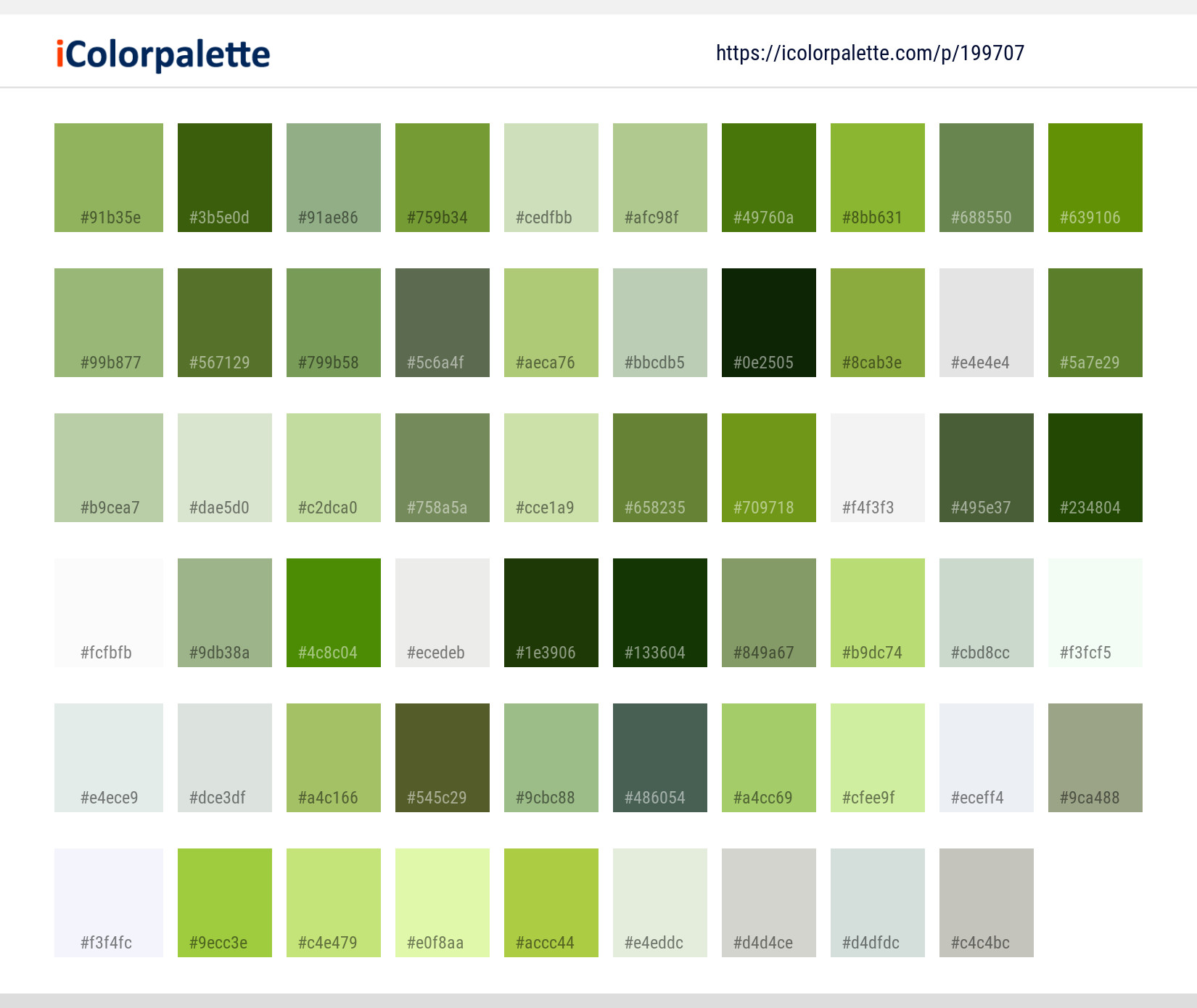 Color Palette Ideas from Plant Leaf Close Up Image | iColorpalette