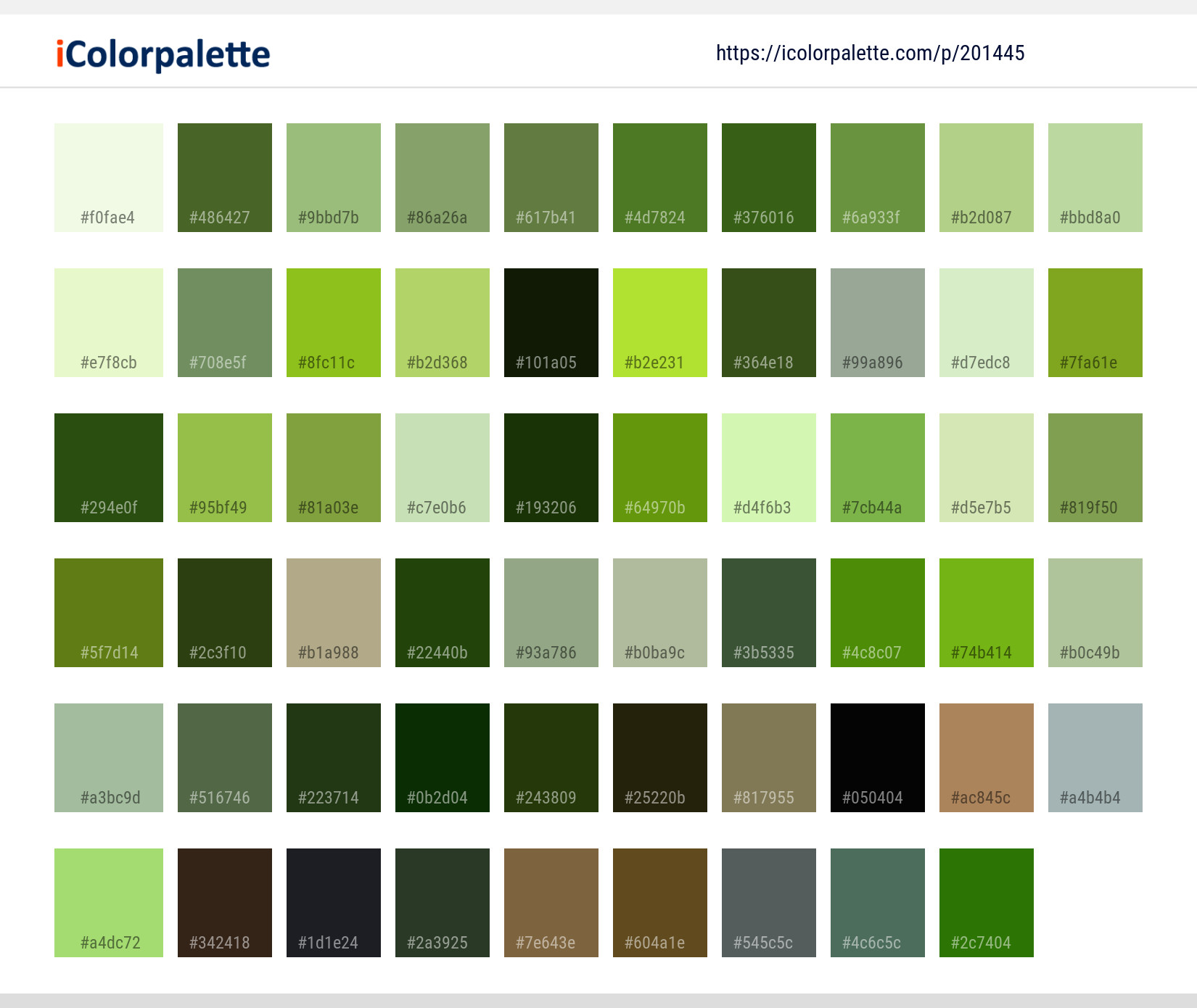 Color Palette Ideas from Plant Urtica Herb Image | iColorpalette