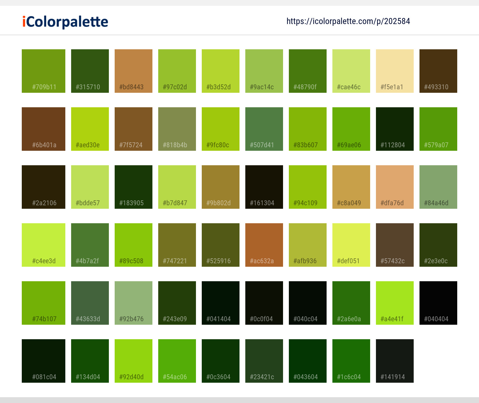 Color Palette Ideas from Leaf Plant Tree Image | iColorpalette