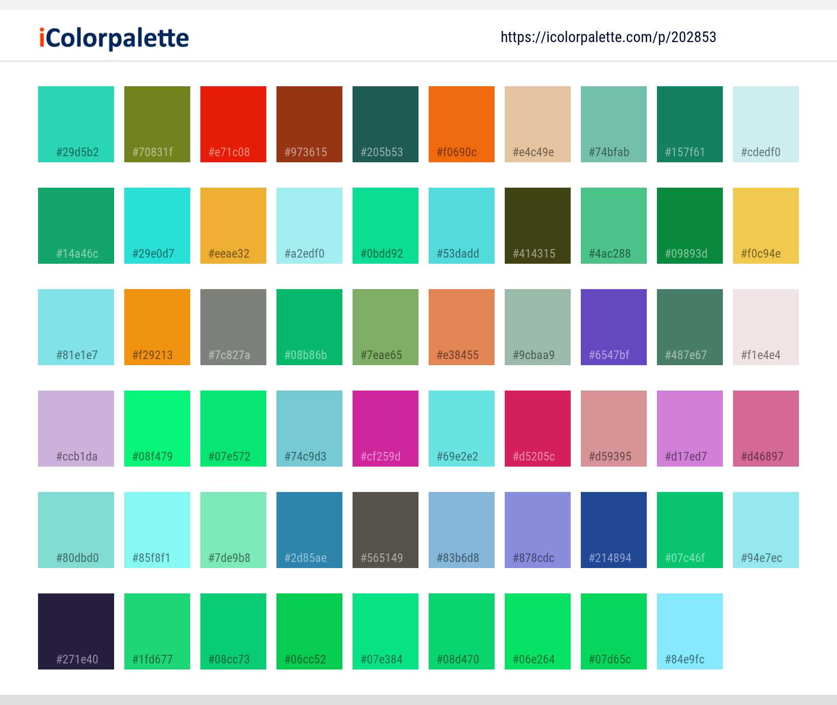 Color Palette Ideas from Fish Marine Biology Image | iColorpalette