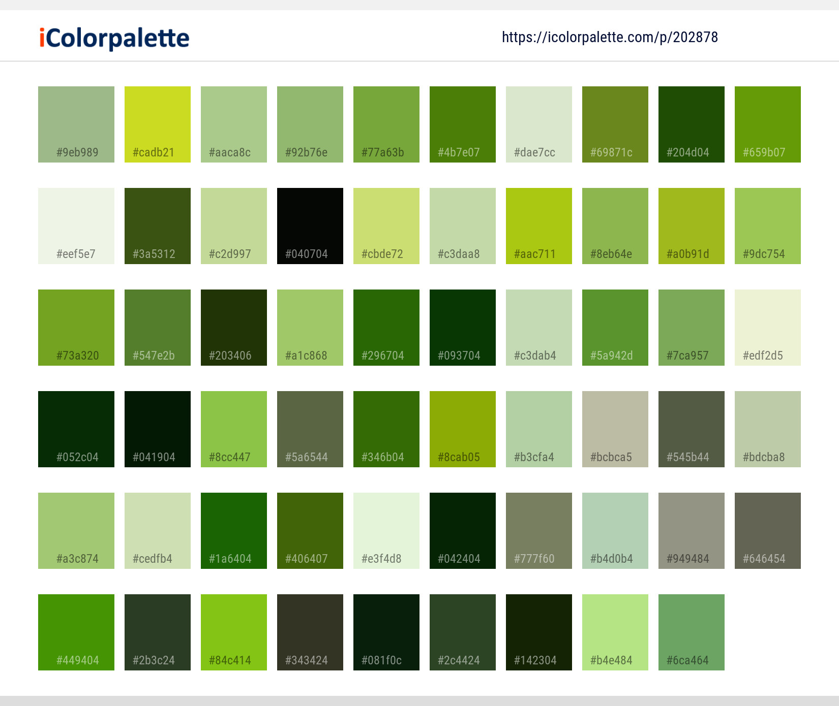 Color Palette Ideas from Leaf Green Vegetation Image | iColorpalette