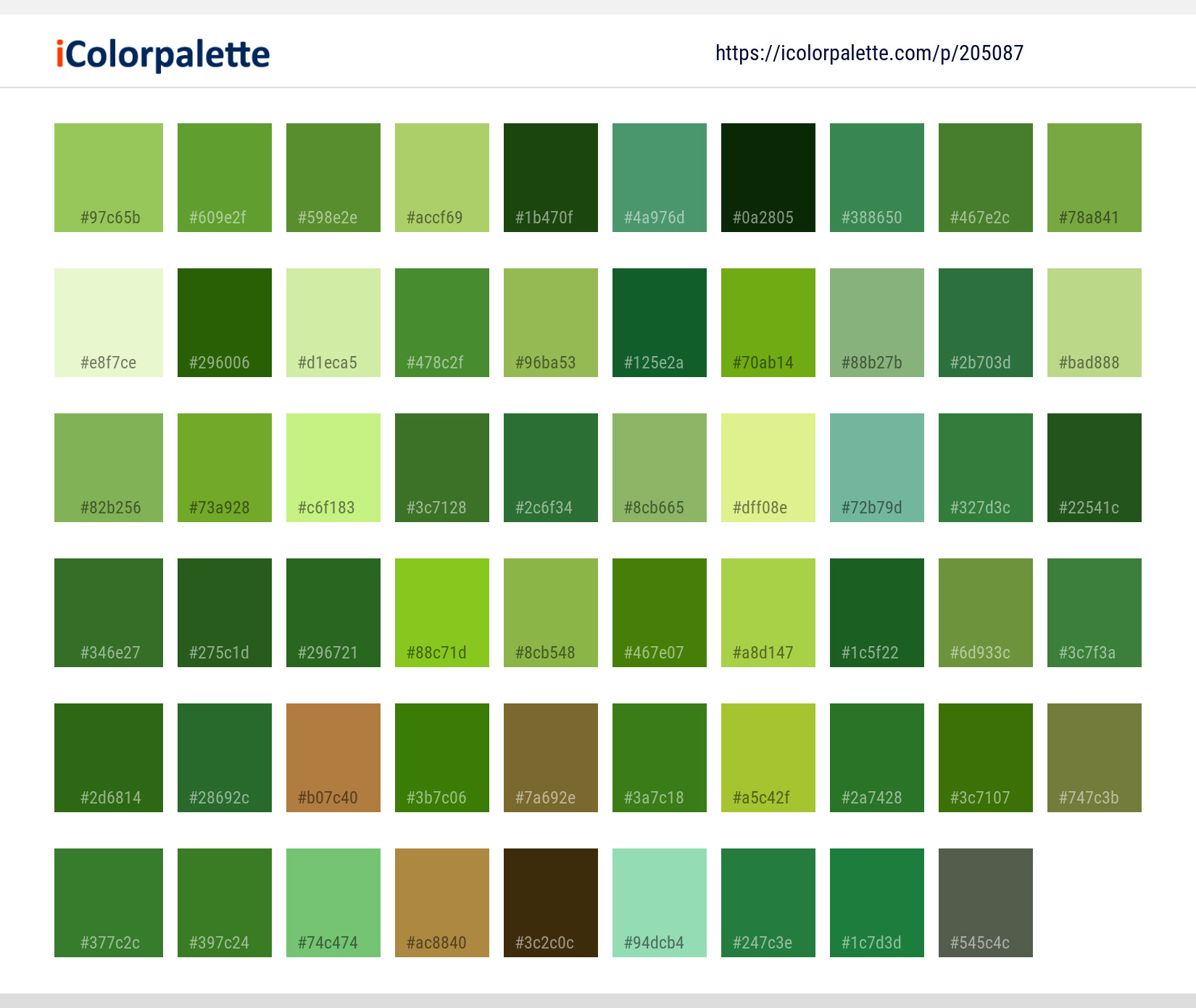 Color Palette Ideas from Grass Green Family Image | iColorpalette