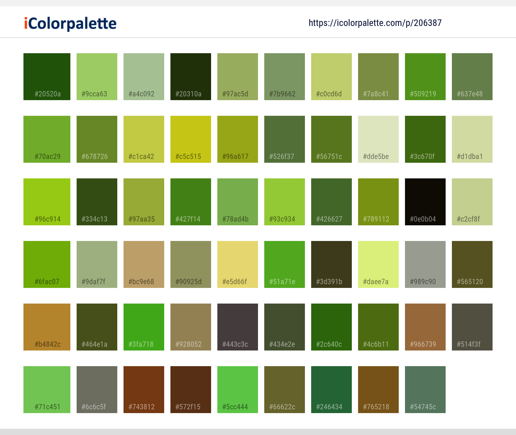 Color Palette Ideas from Leaf Tree Pine Family Image | iColorpalette