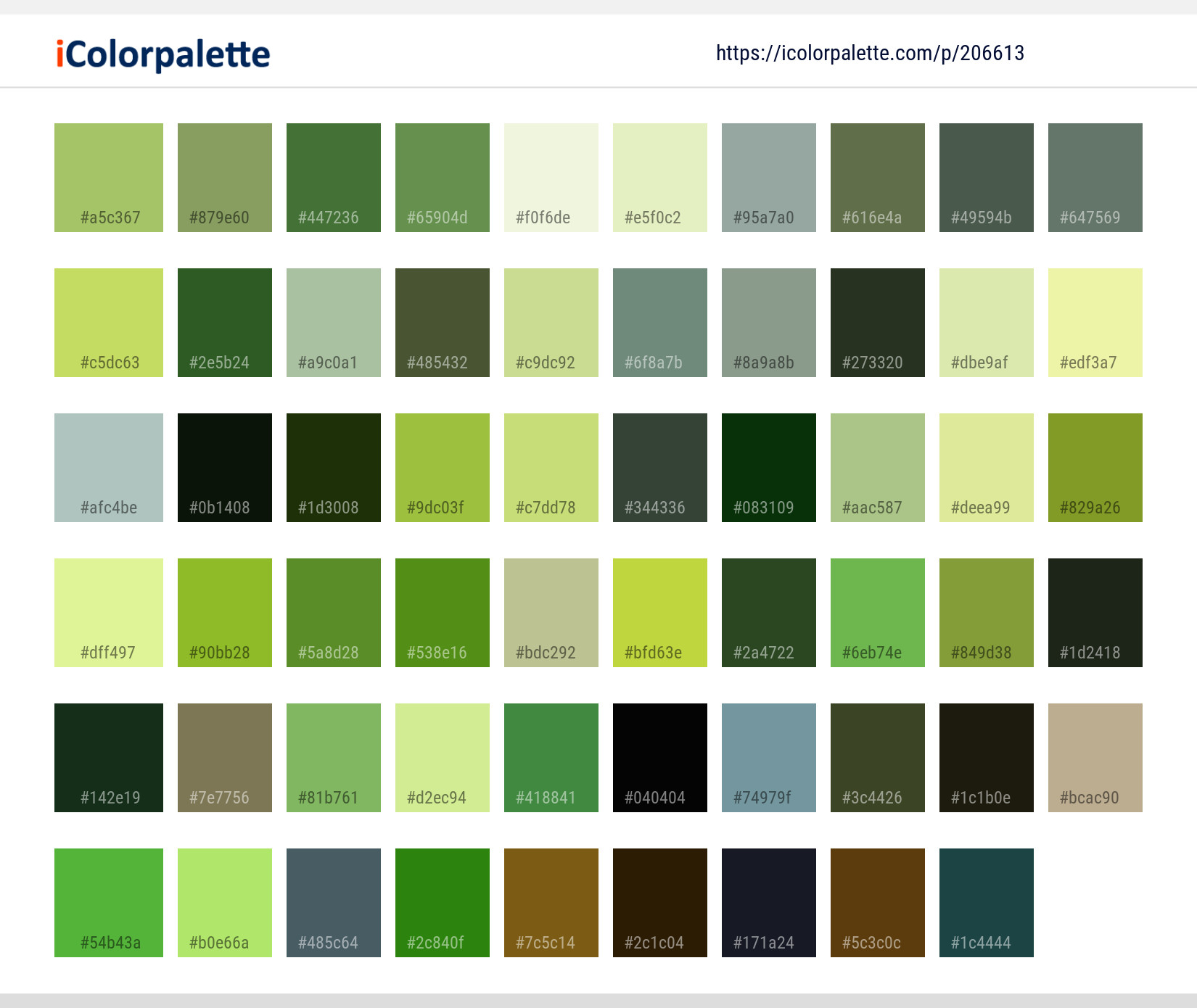 Color Palette Ideas from Tree Trunk Woody Plant Image | iColorpalette