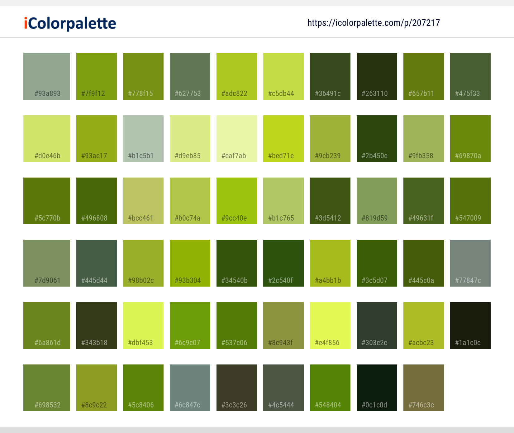 Color Palette Ideas from Flower Chrysanths Plant Image | iColorpalette