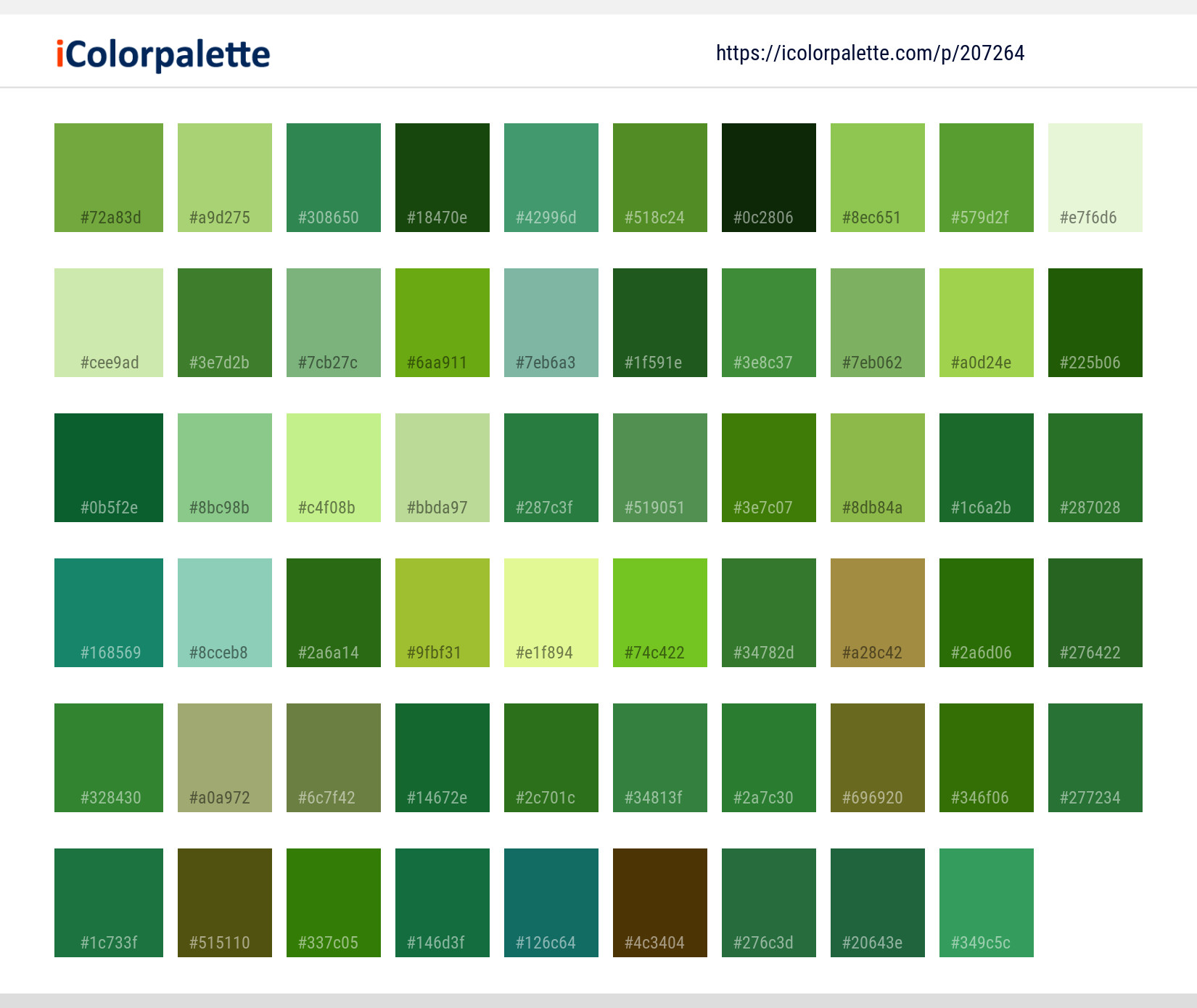 Color Palette Ideas from Water Grass Green Image | iColorpalette