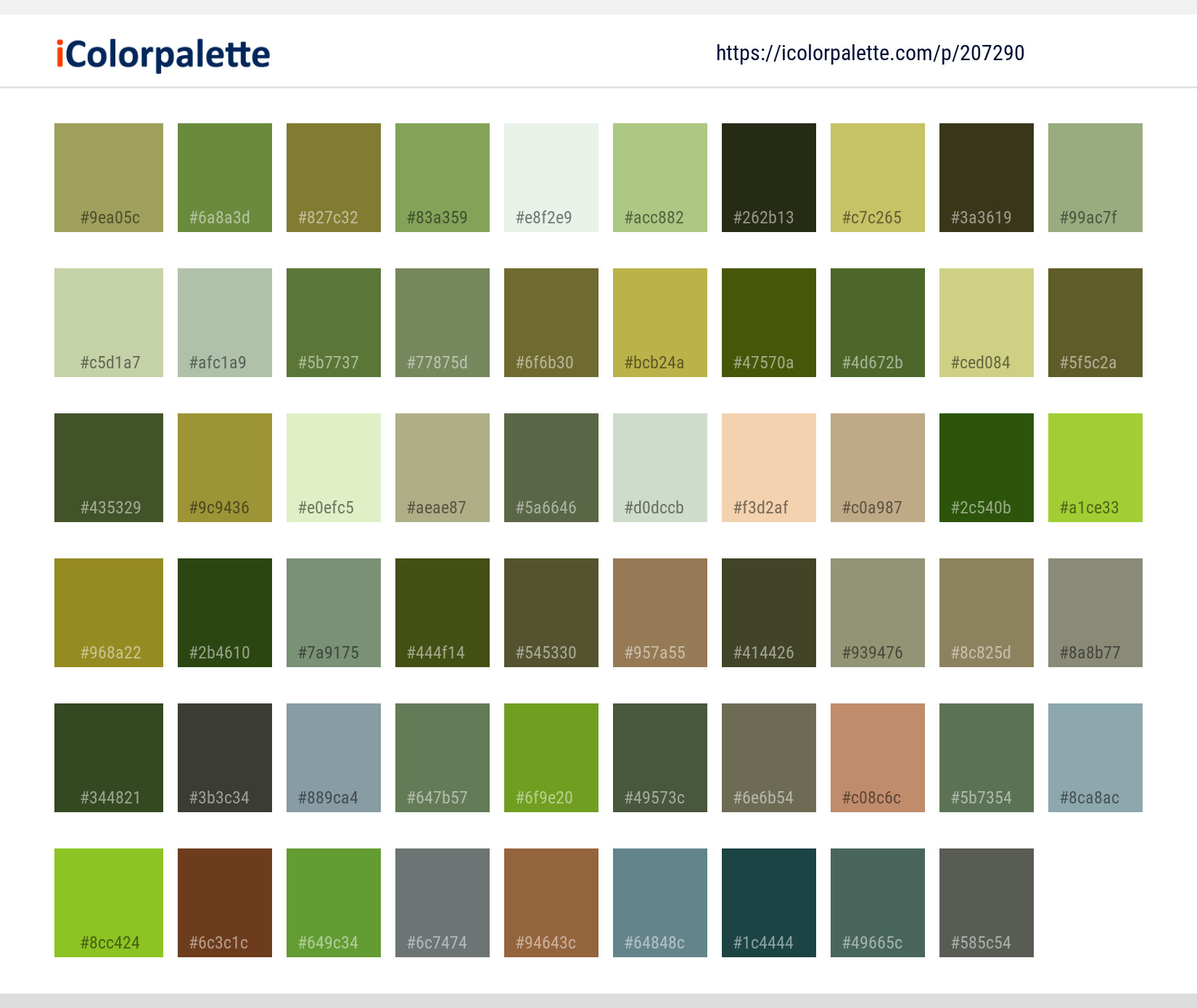 Color Palette Ideas from Jackfruit Cempedak Artocarpus Image ...