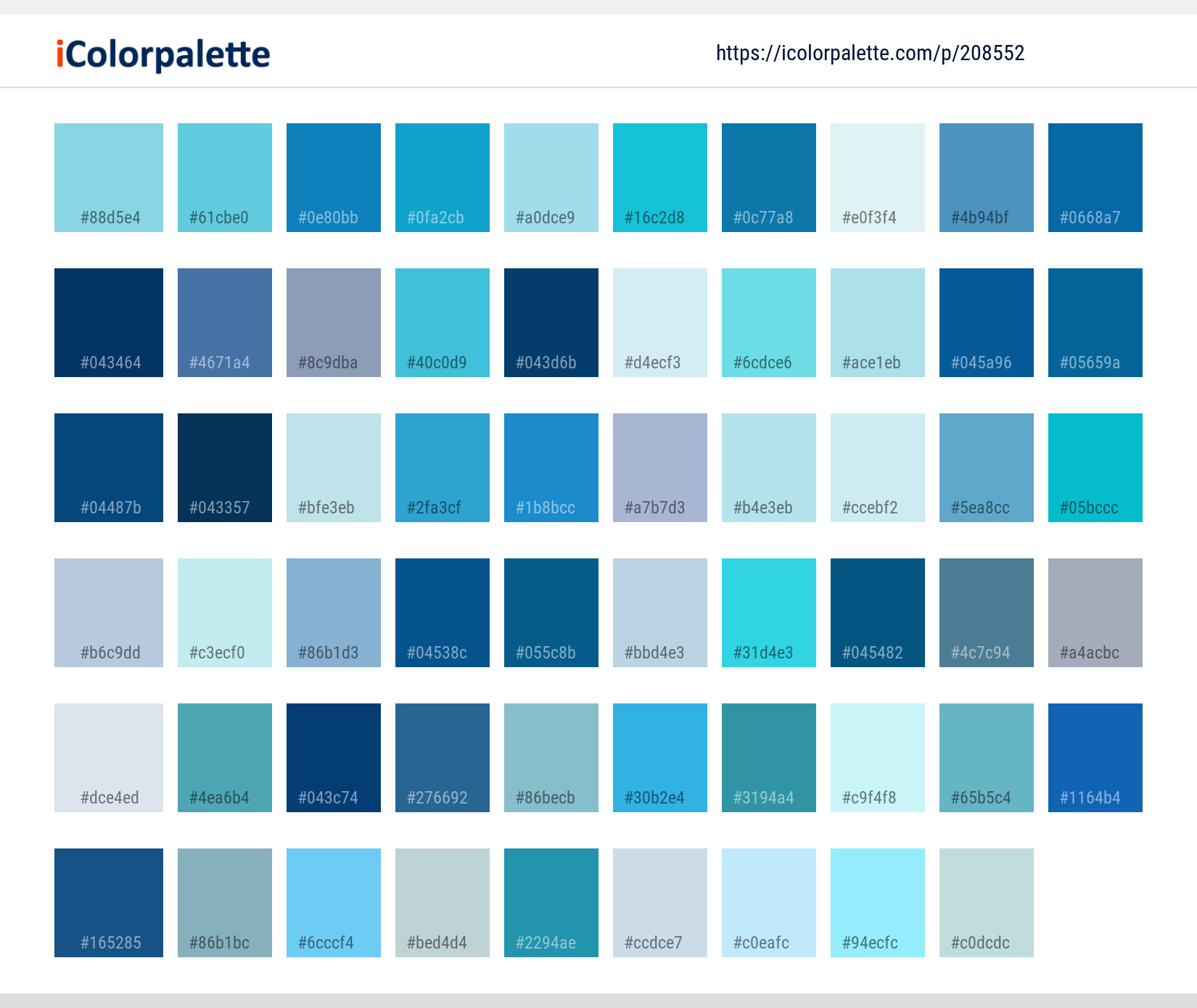 Color Palette Ideas from Water Marine Mammal Sky Image | iColorpalette