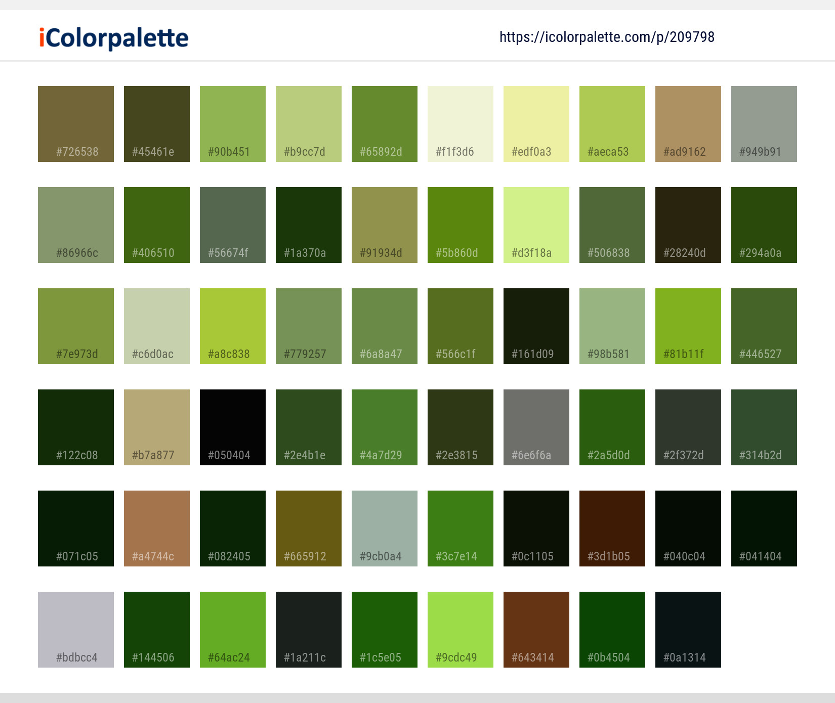 Color Palette Ideas from Woodland Green Nature Image | iColorpalette