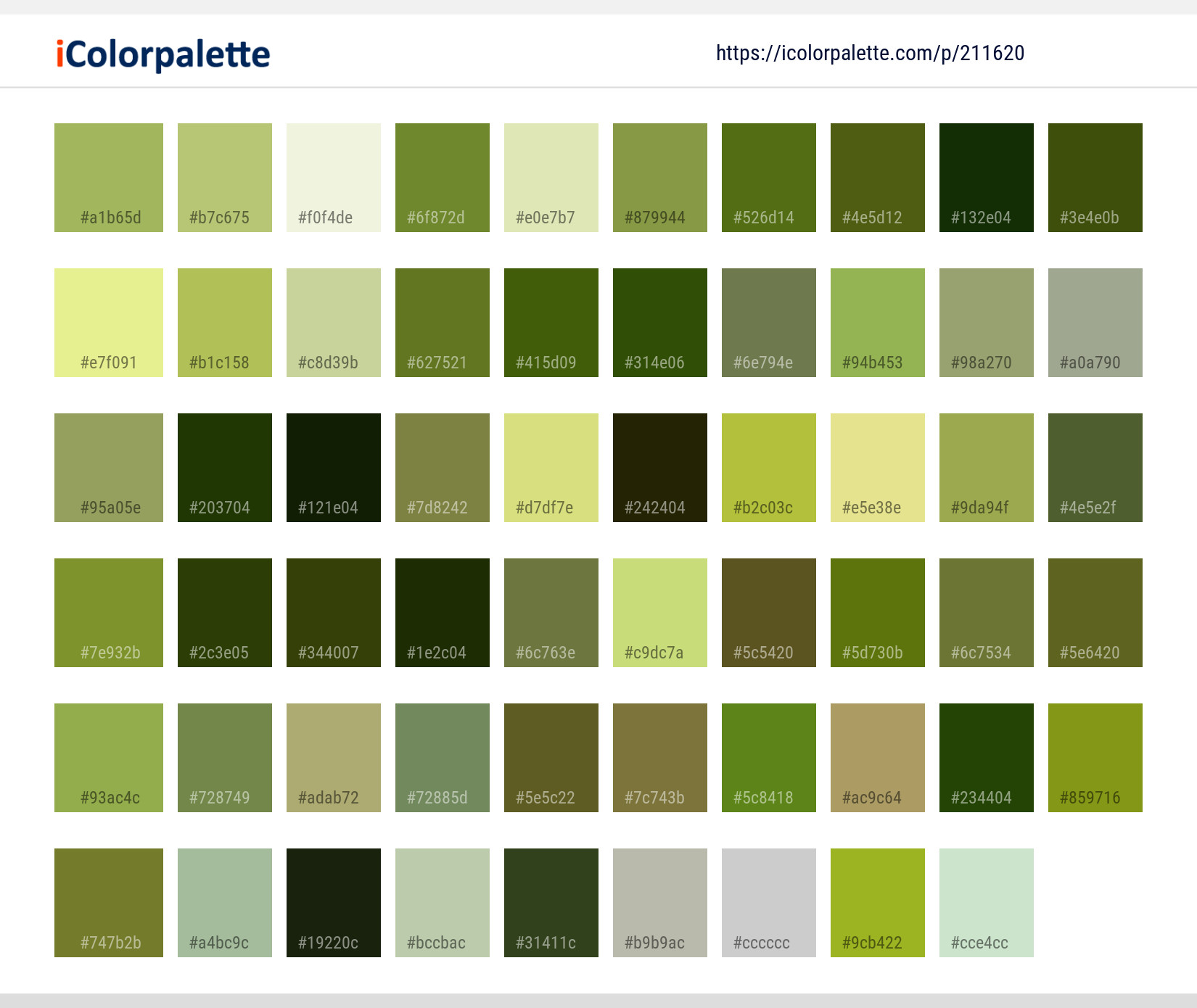 Color Palette Ideas from Cow Parsley Family Apiales Image | iColorpalette