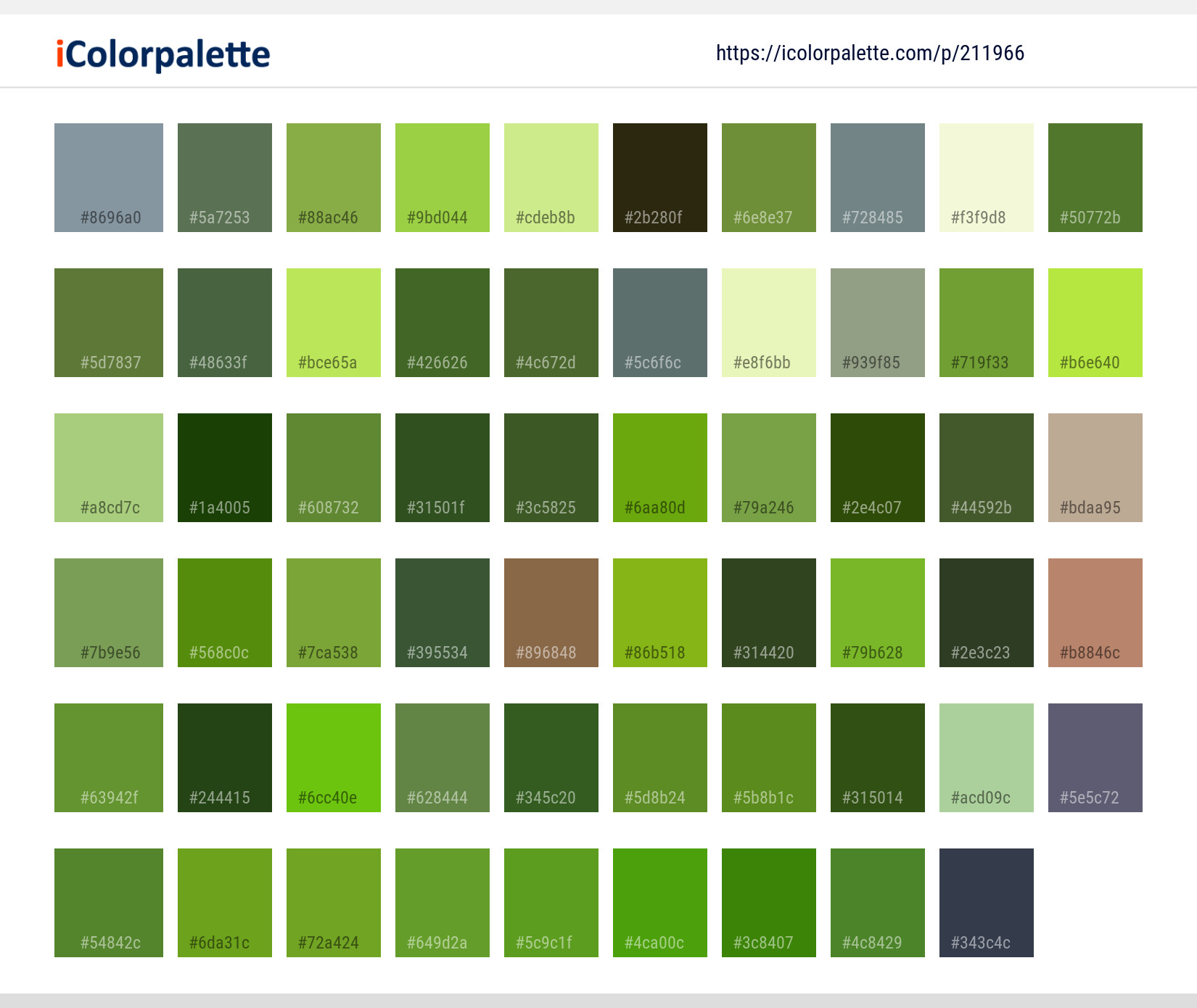 Color Palette Ideas from Fauna Insect Tree Image | iColorpalette